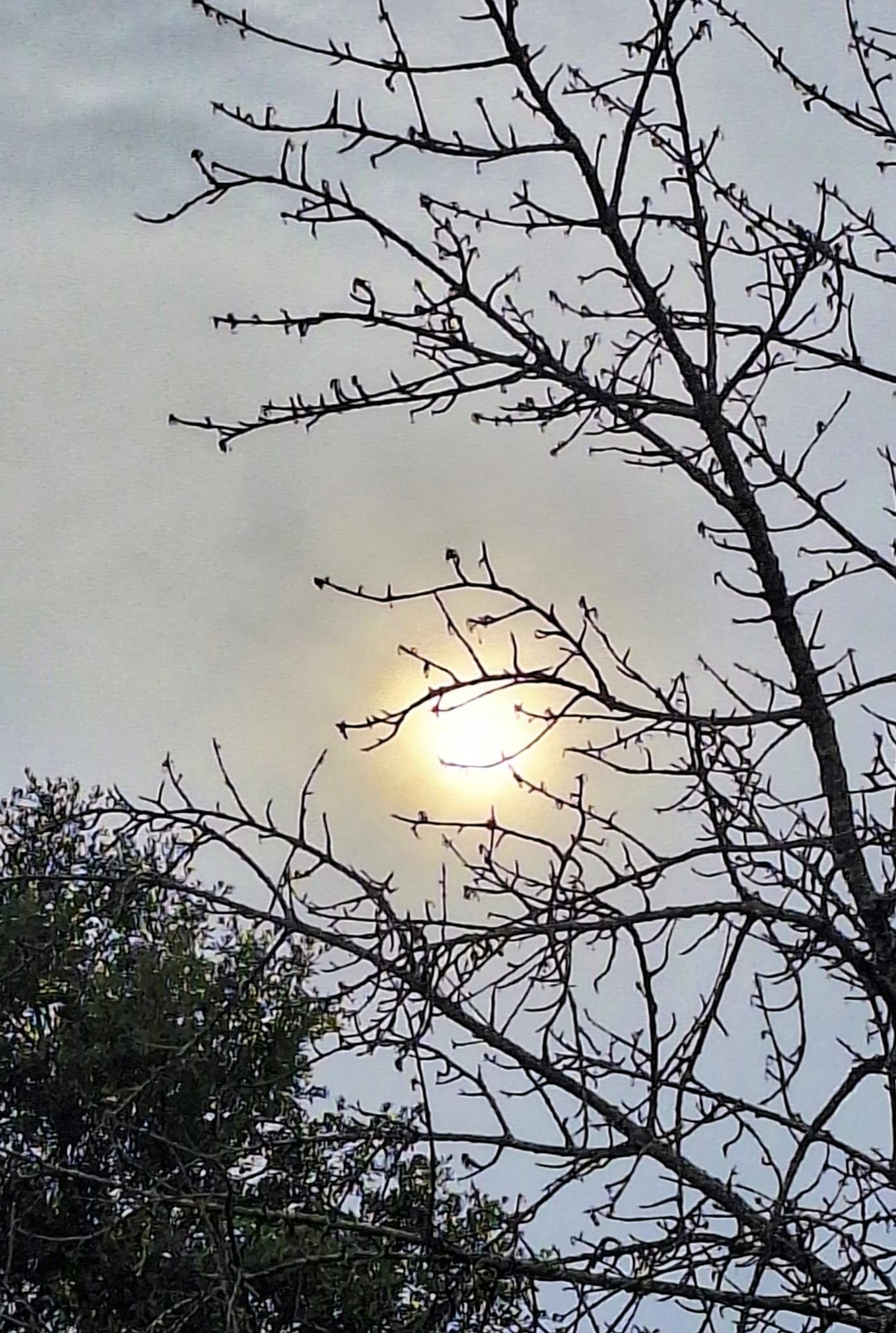 Le soleil joue à cache cache