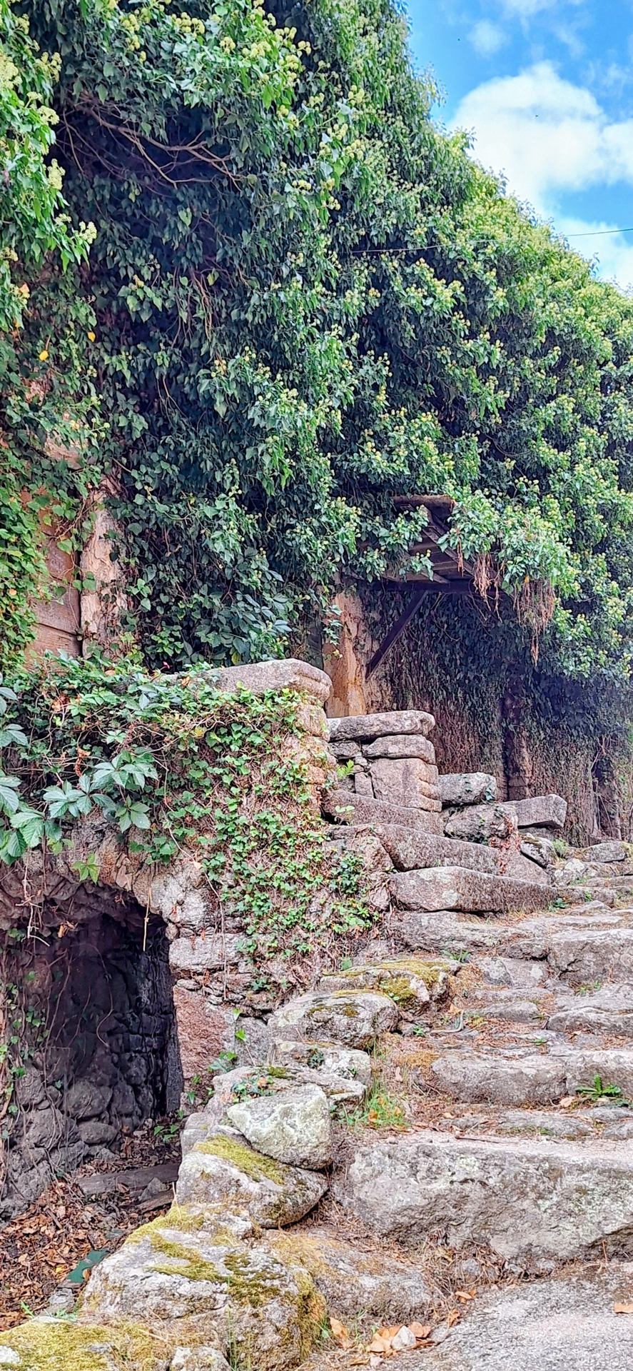 Village déserté