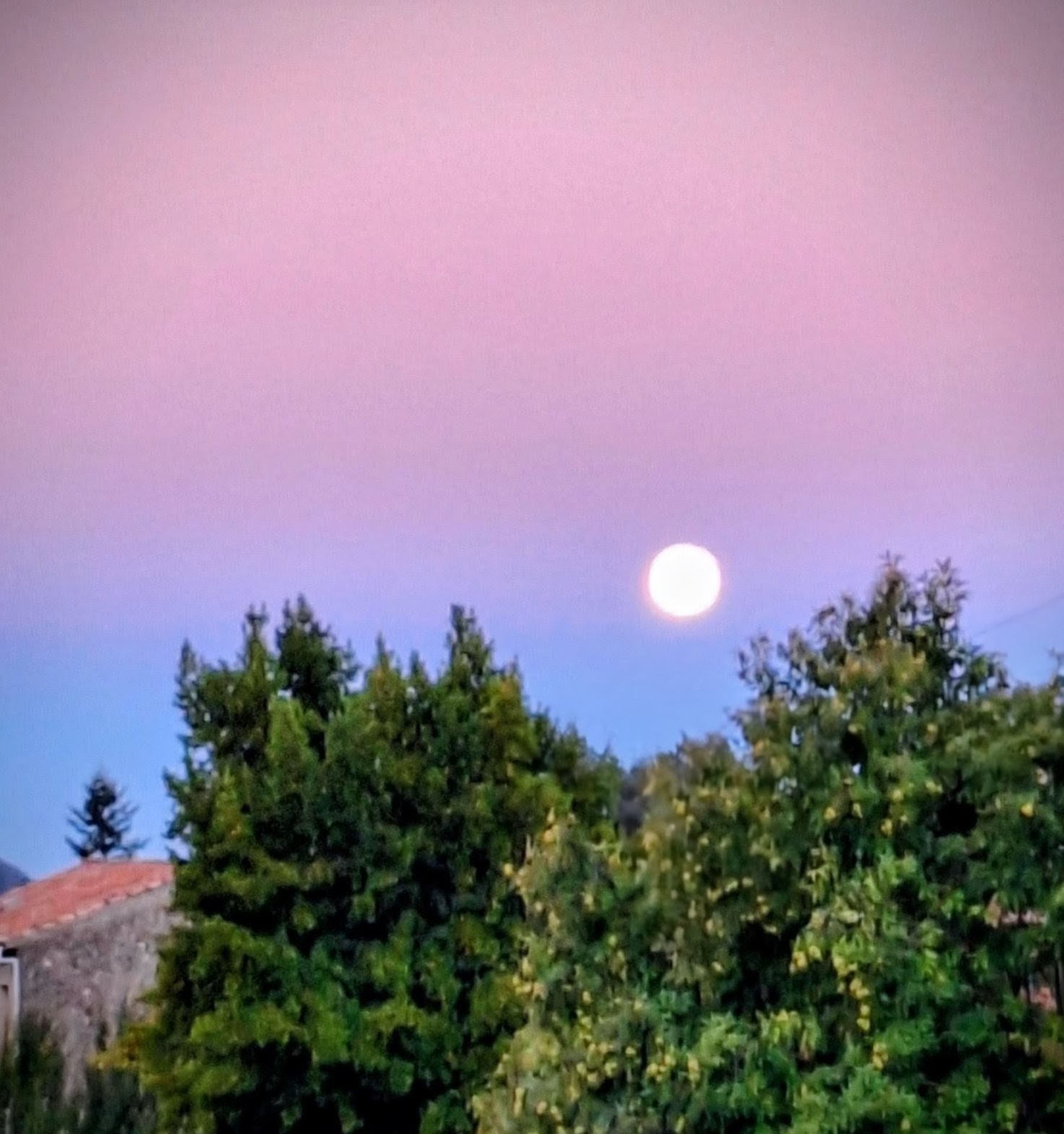 Lever de lune