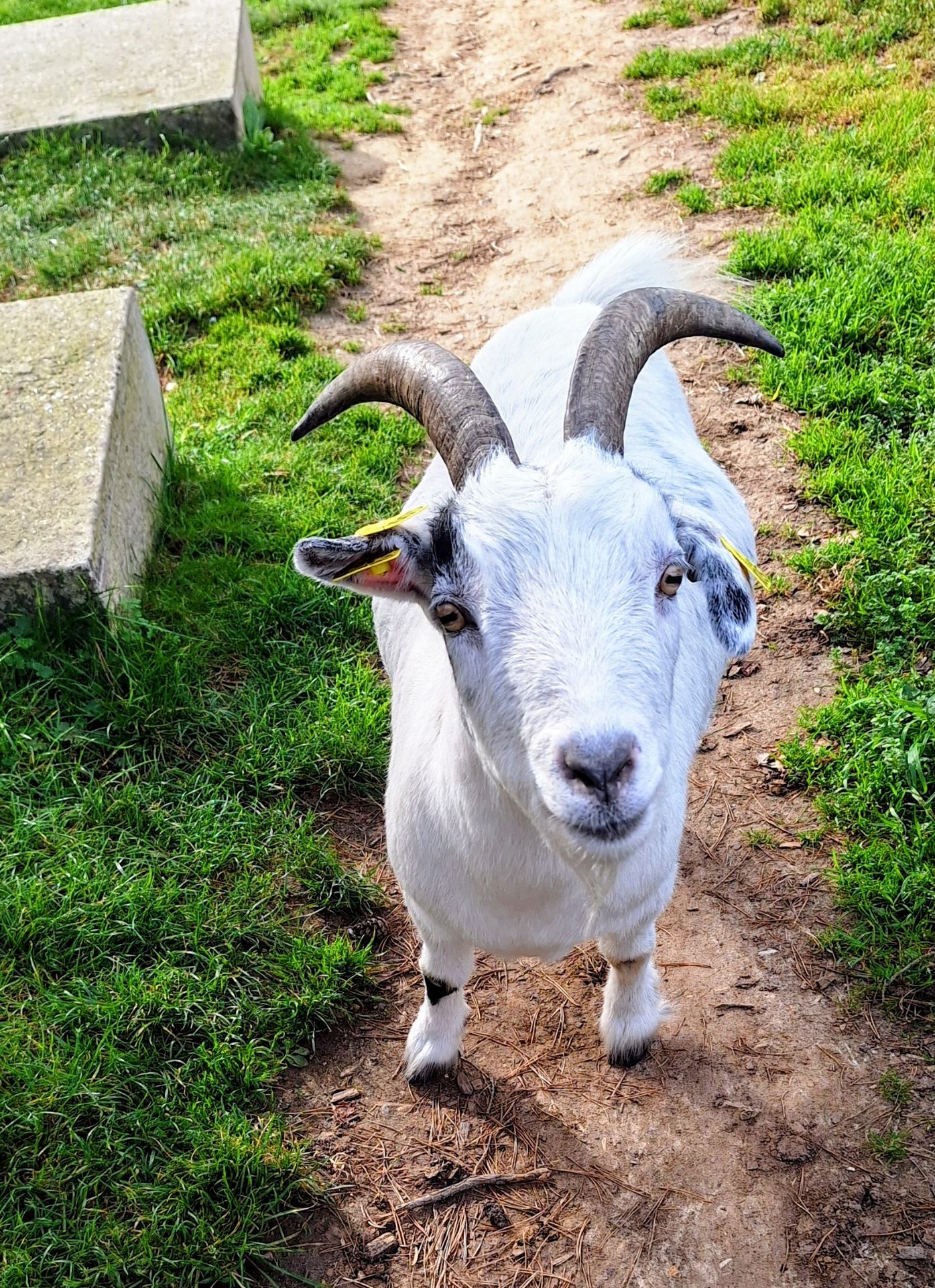 La campagne à PARIS