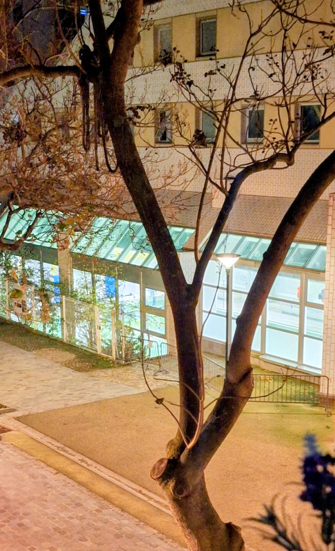 De la fenêtre de ma cuisine