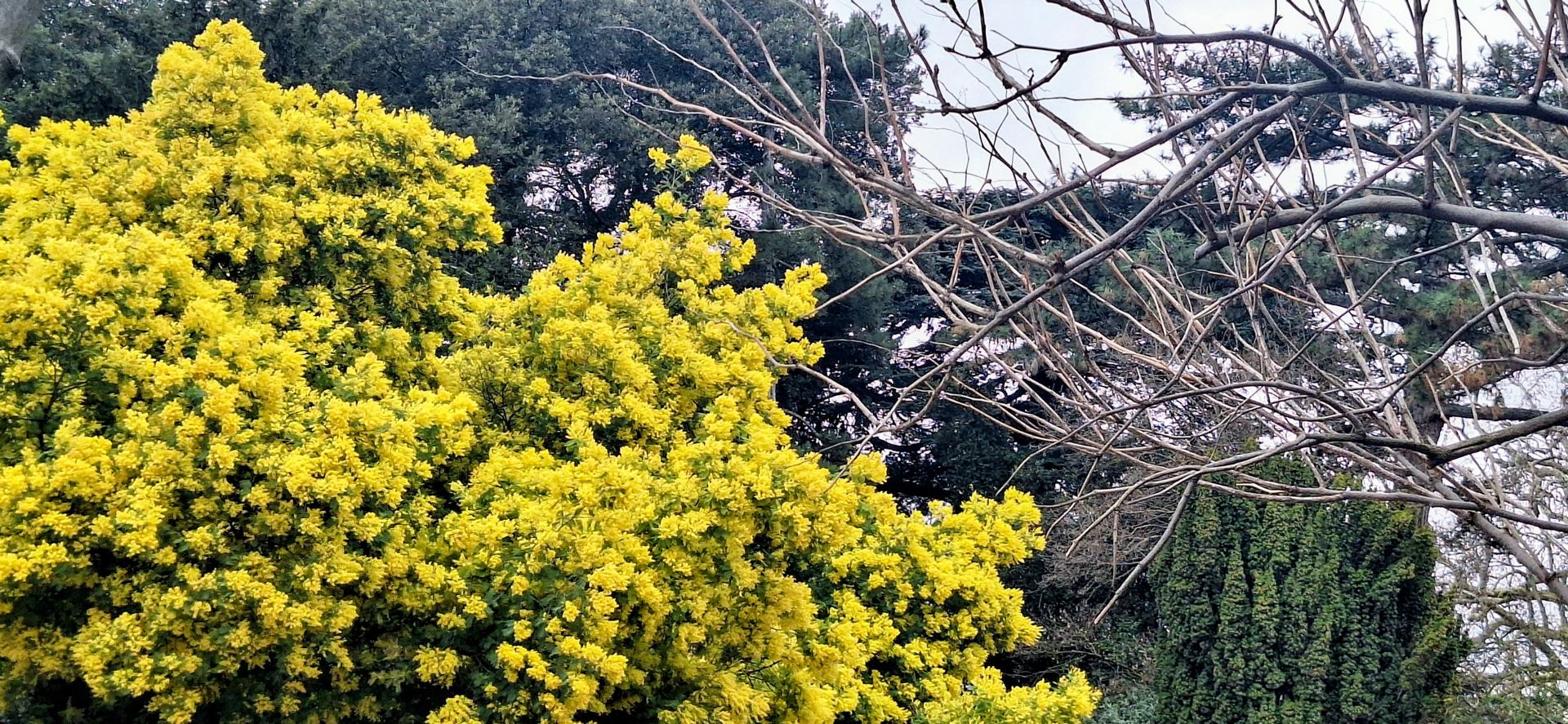 Au jardin des plantes.