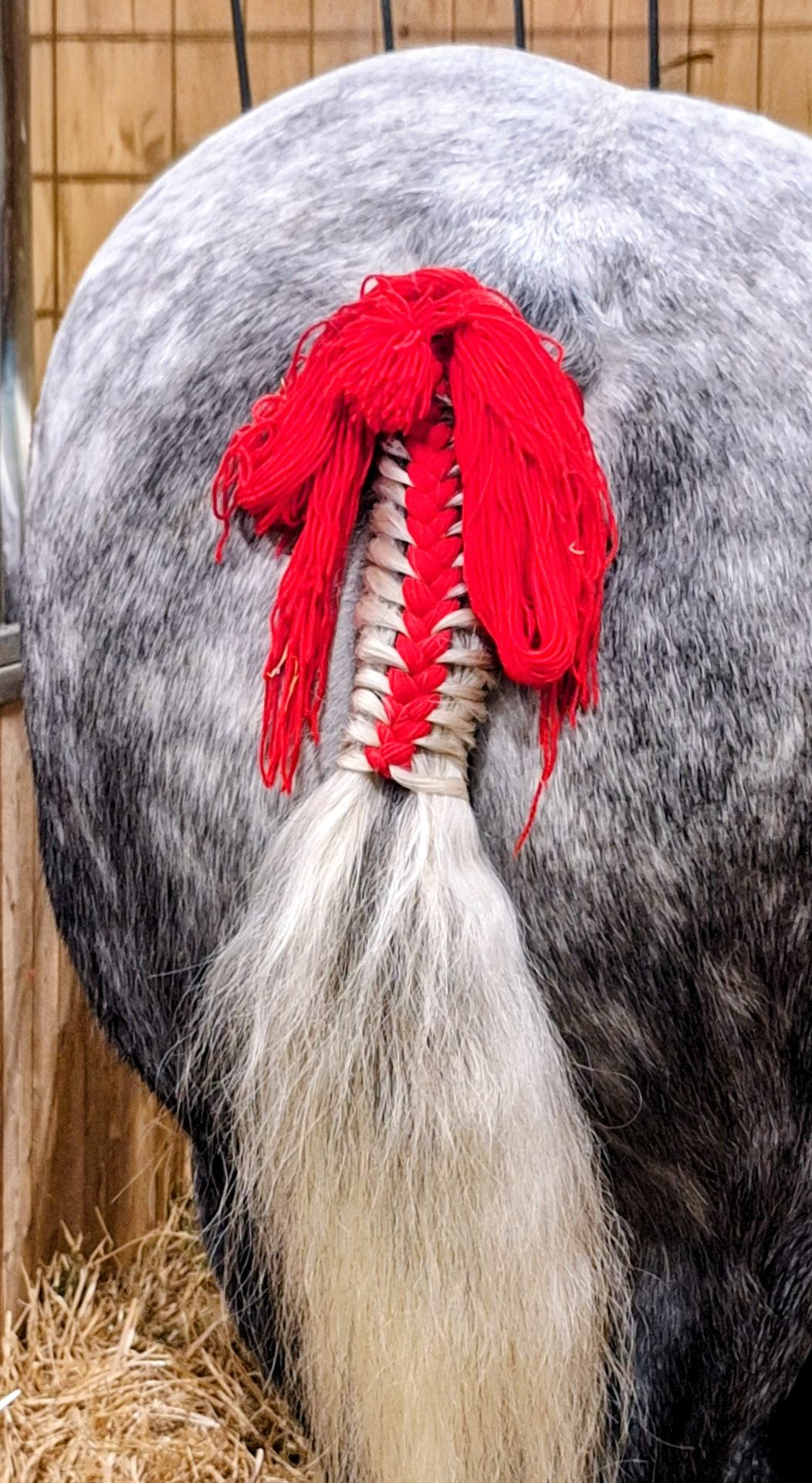 Au salon de l'agriculture