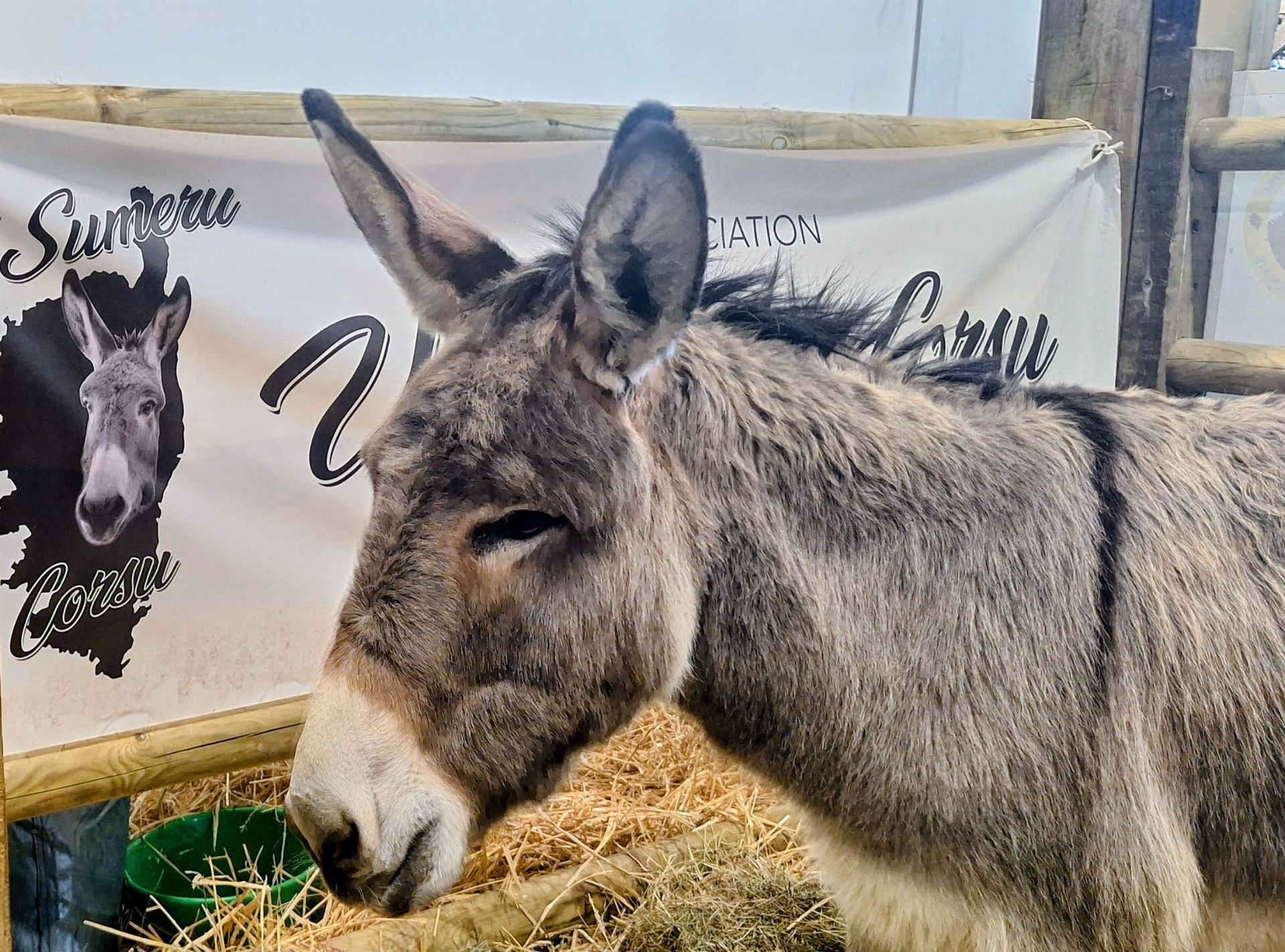 Au Salon de l'agriculture