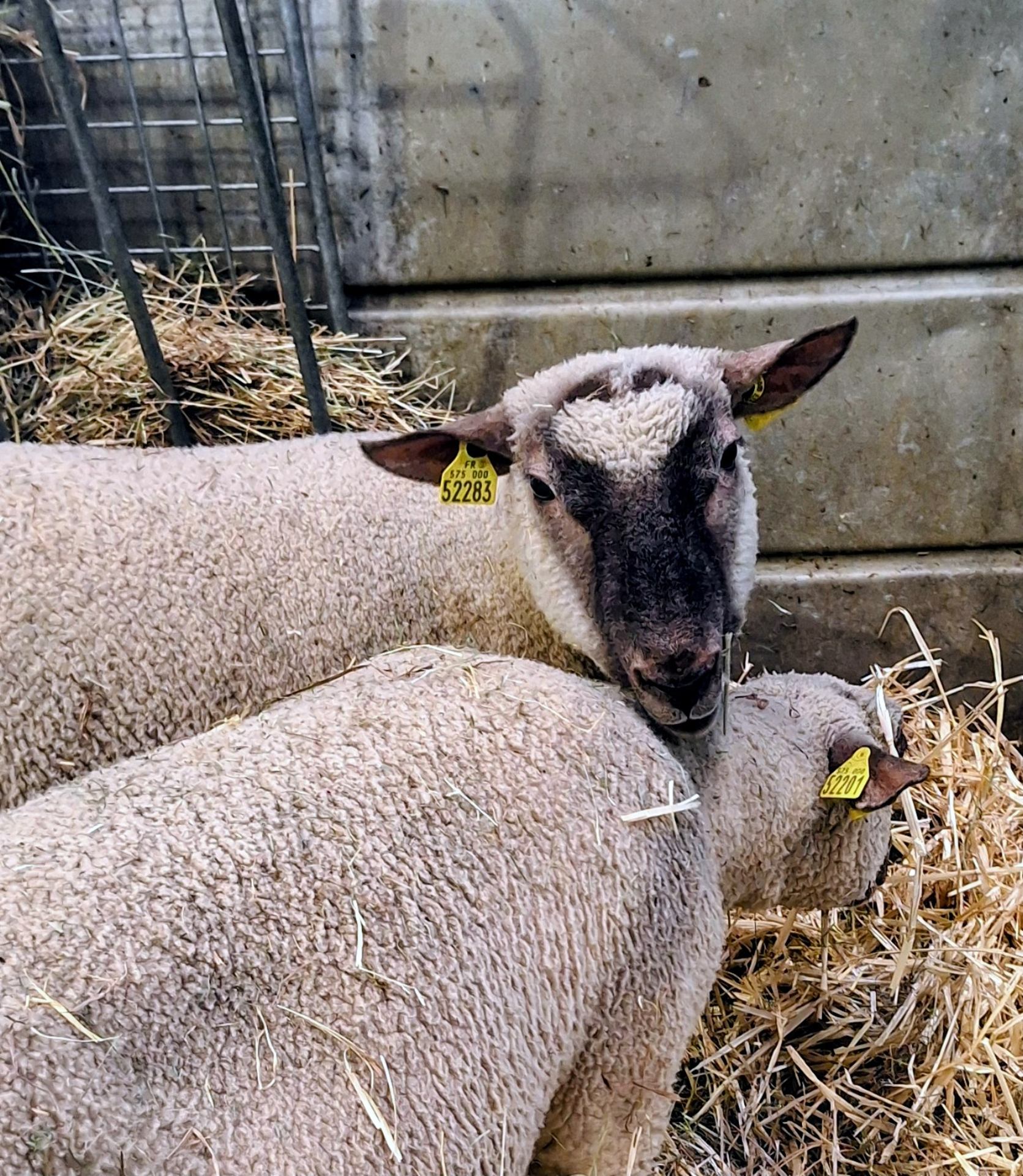 Au.Salon de l'agriculture