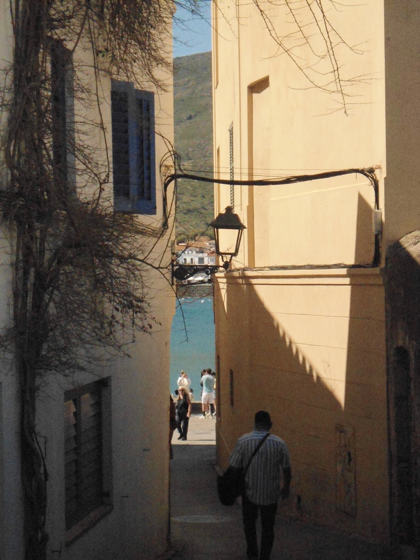 IMG_8609.jpeg