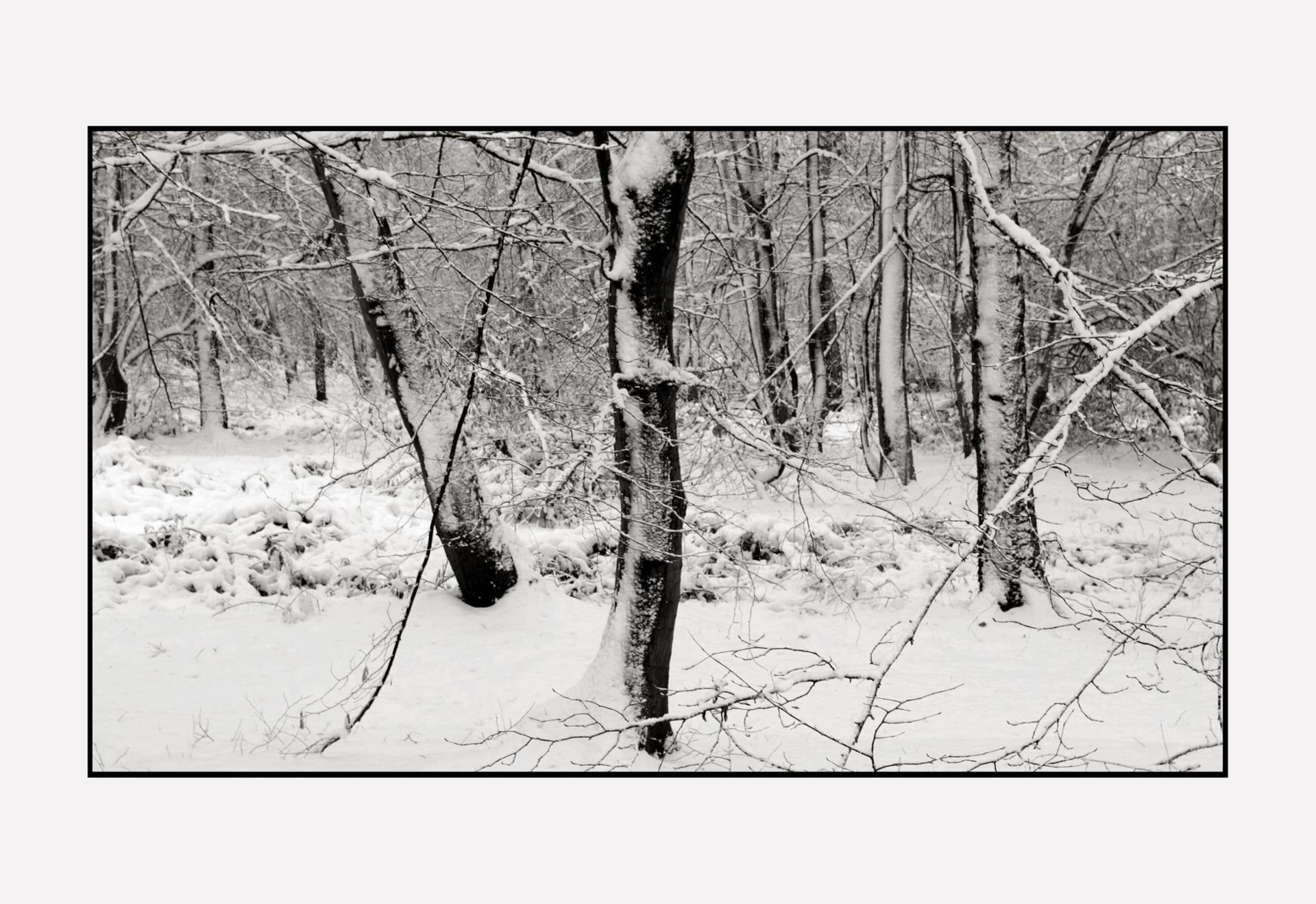 Blanc sur Noir...!