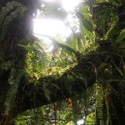 Classement final : 3053