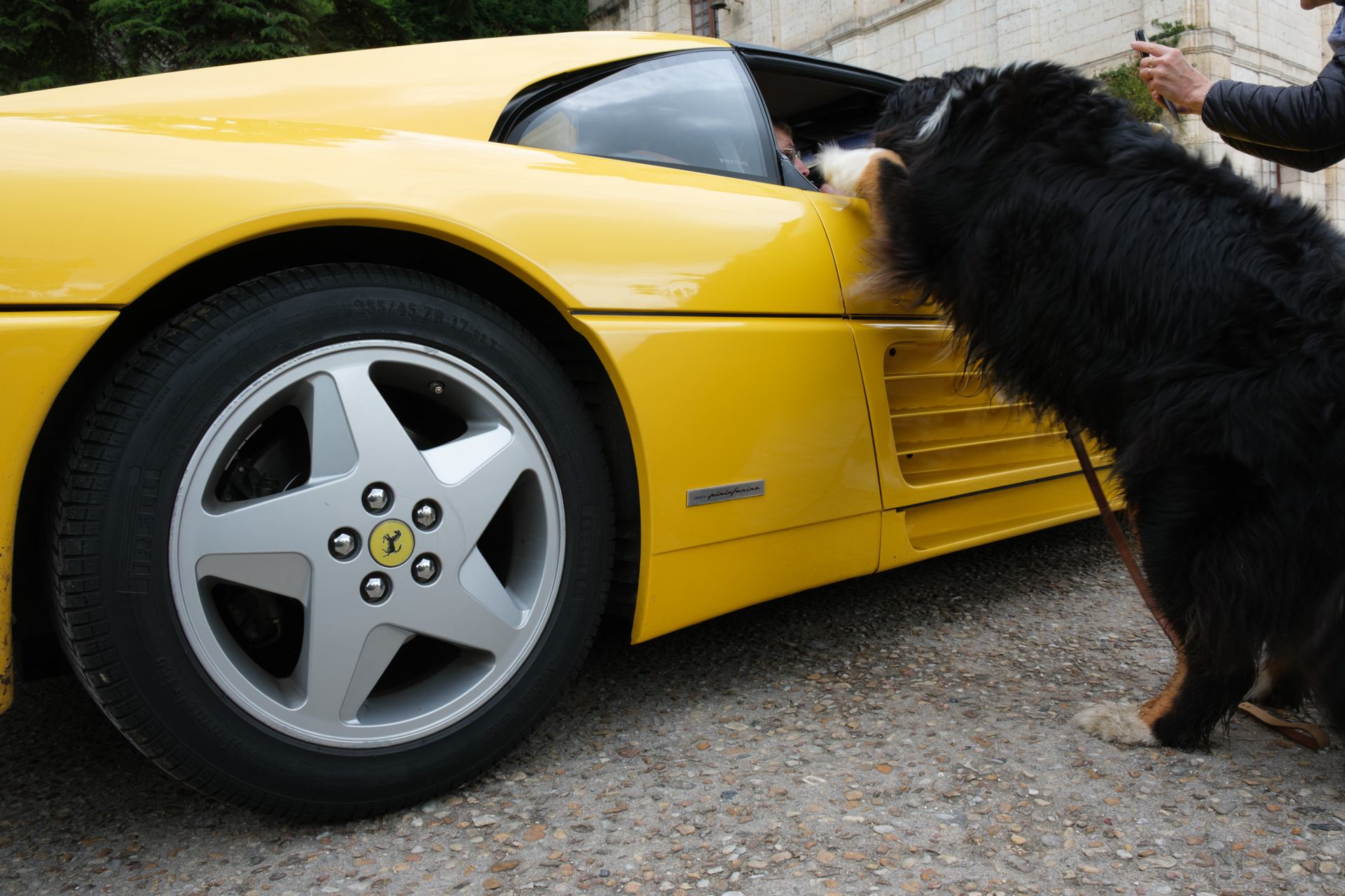 2024 06 15 - 0539.jpg