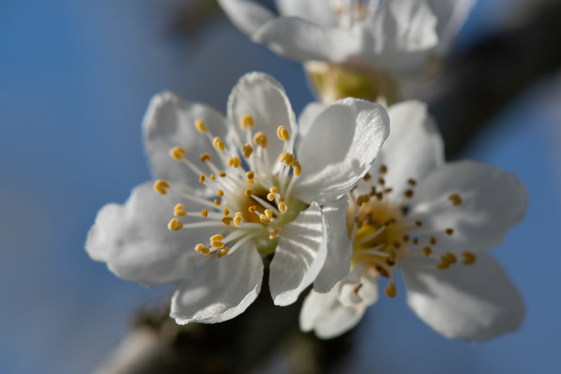 2023 02 17 - 3499.jpg