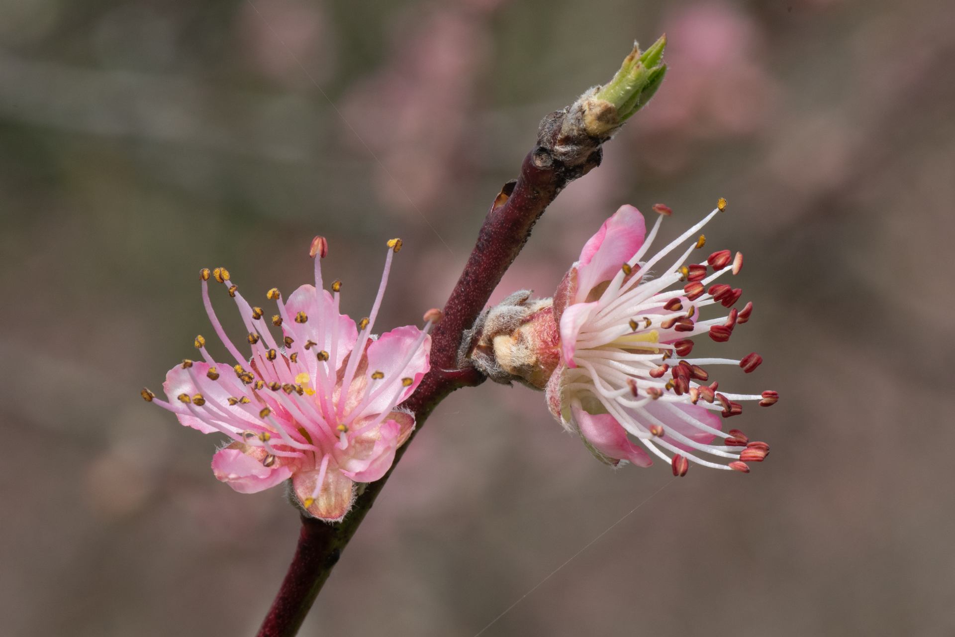 2023 03 21 - 3656.jpg