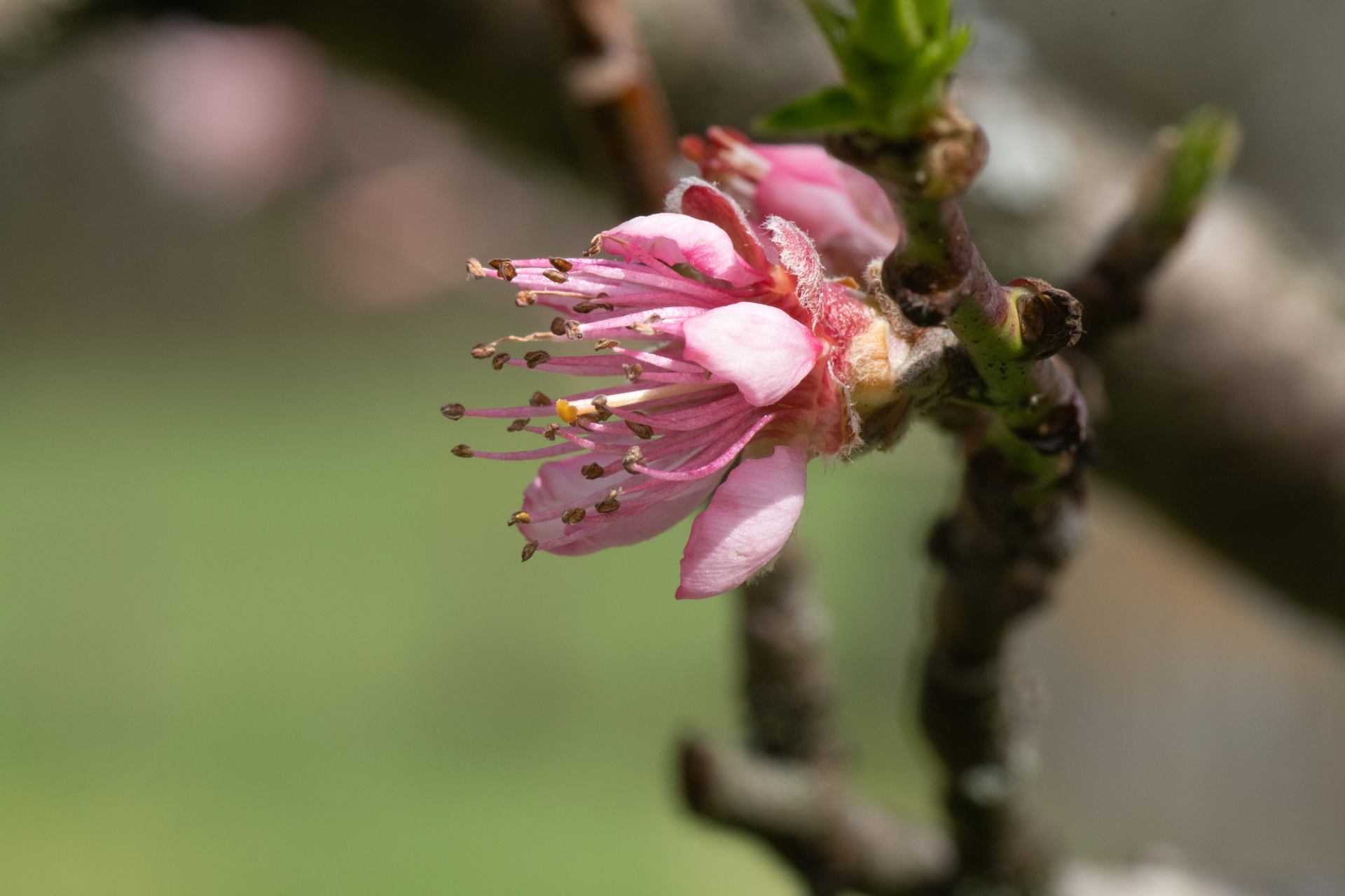 2023 03 21 - 3647.jpg