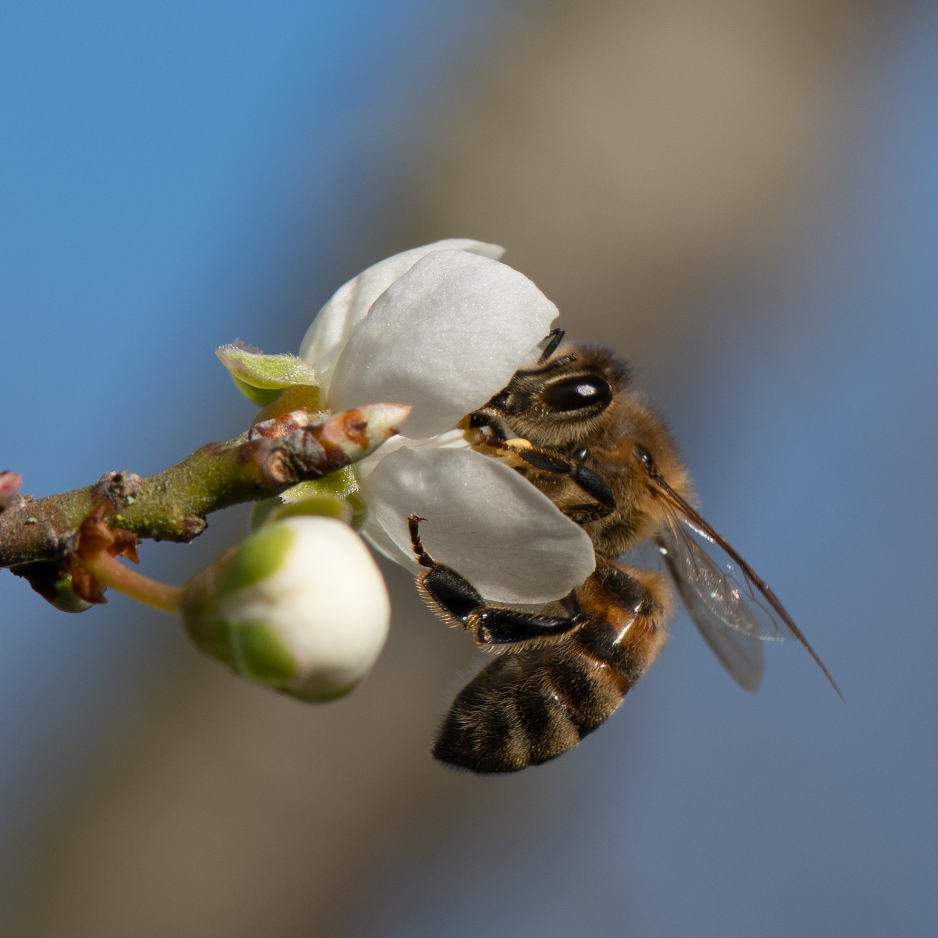 2023 02 17 - 3504.jpg