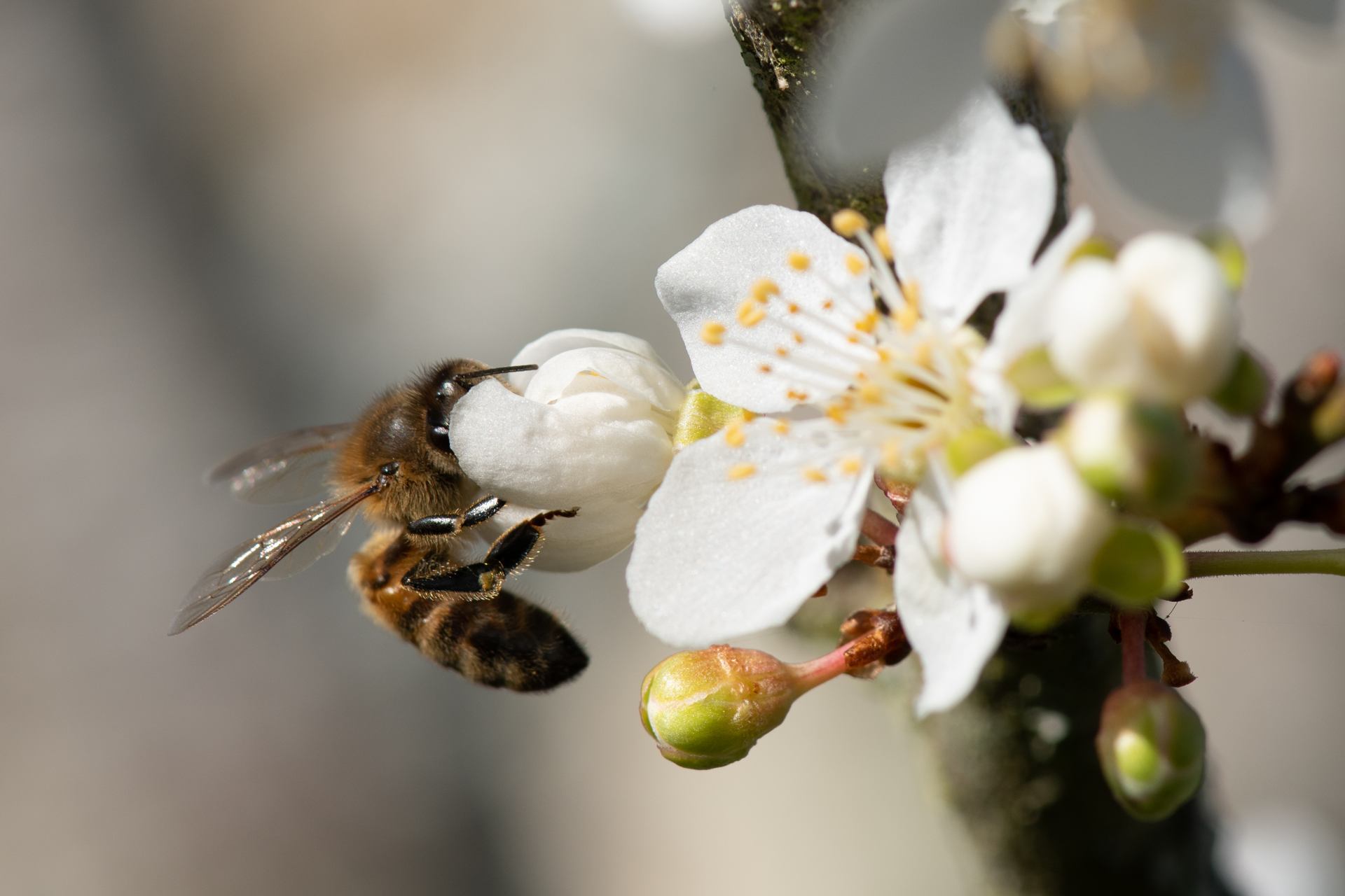 2023 02 18 - 3513.jpg