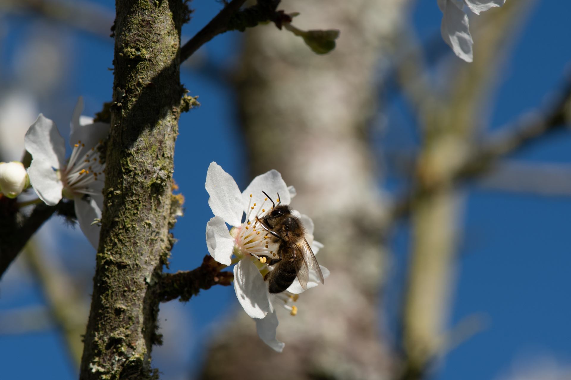 2023 02 20 - 3530.jpg