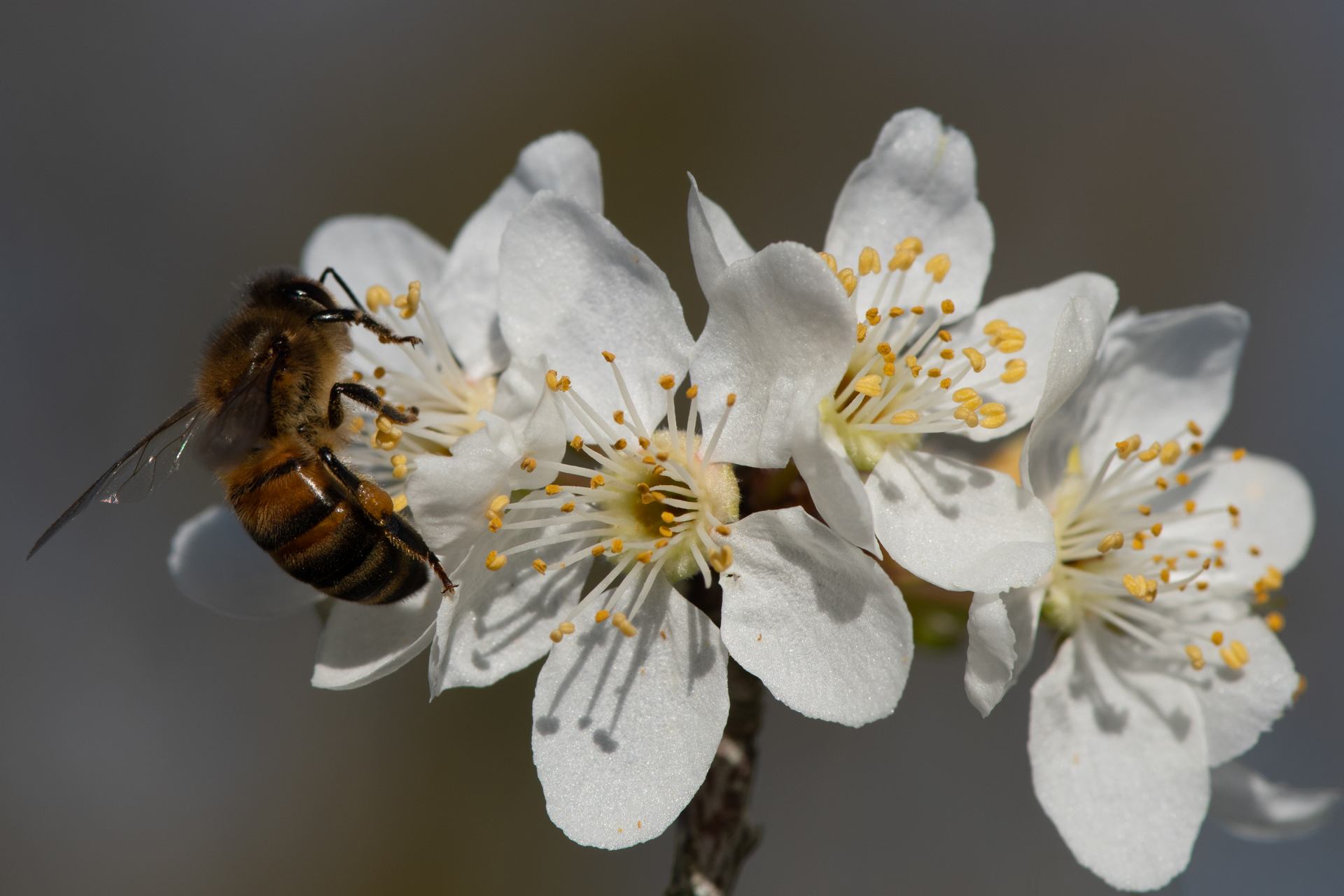 2023 02 20 - 3531.jpg