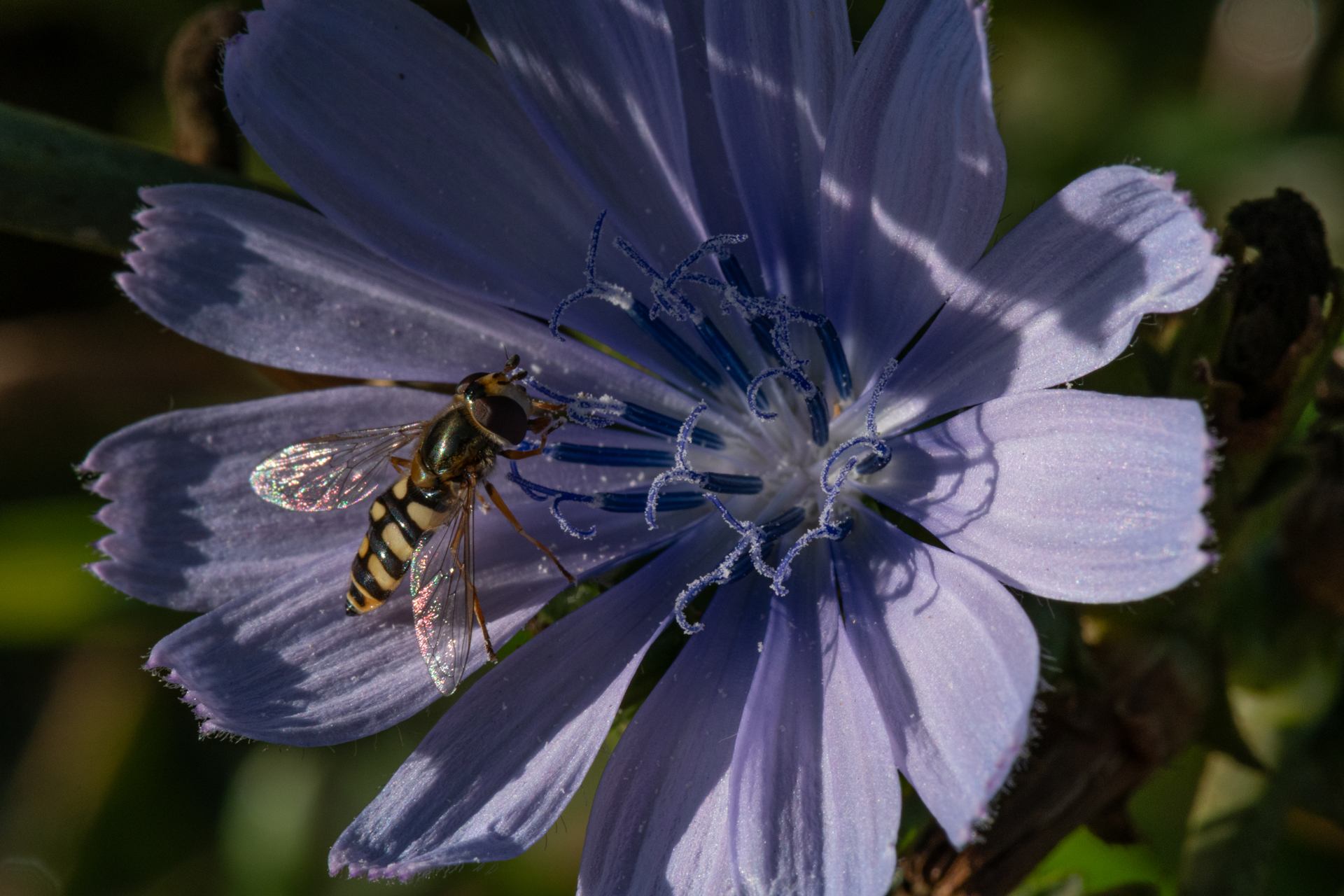 2022 09 12 - 2327.jpg