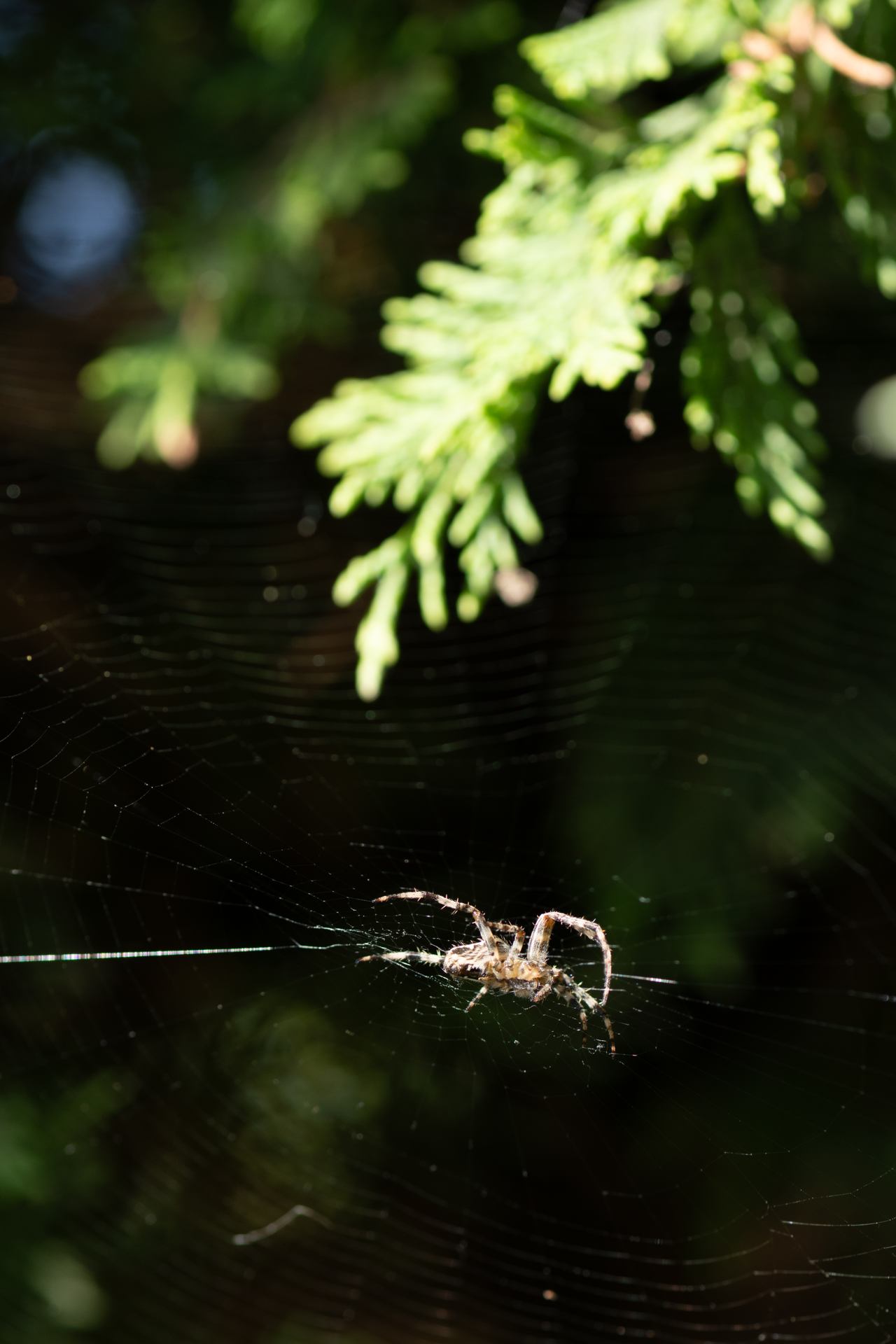 2022 09 12 - 2408.jpg