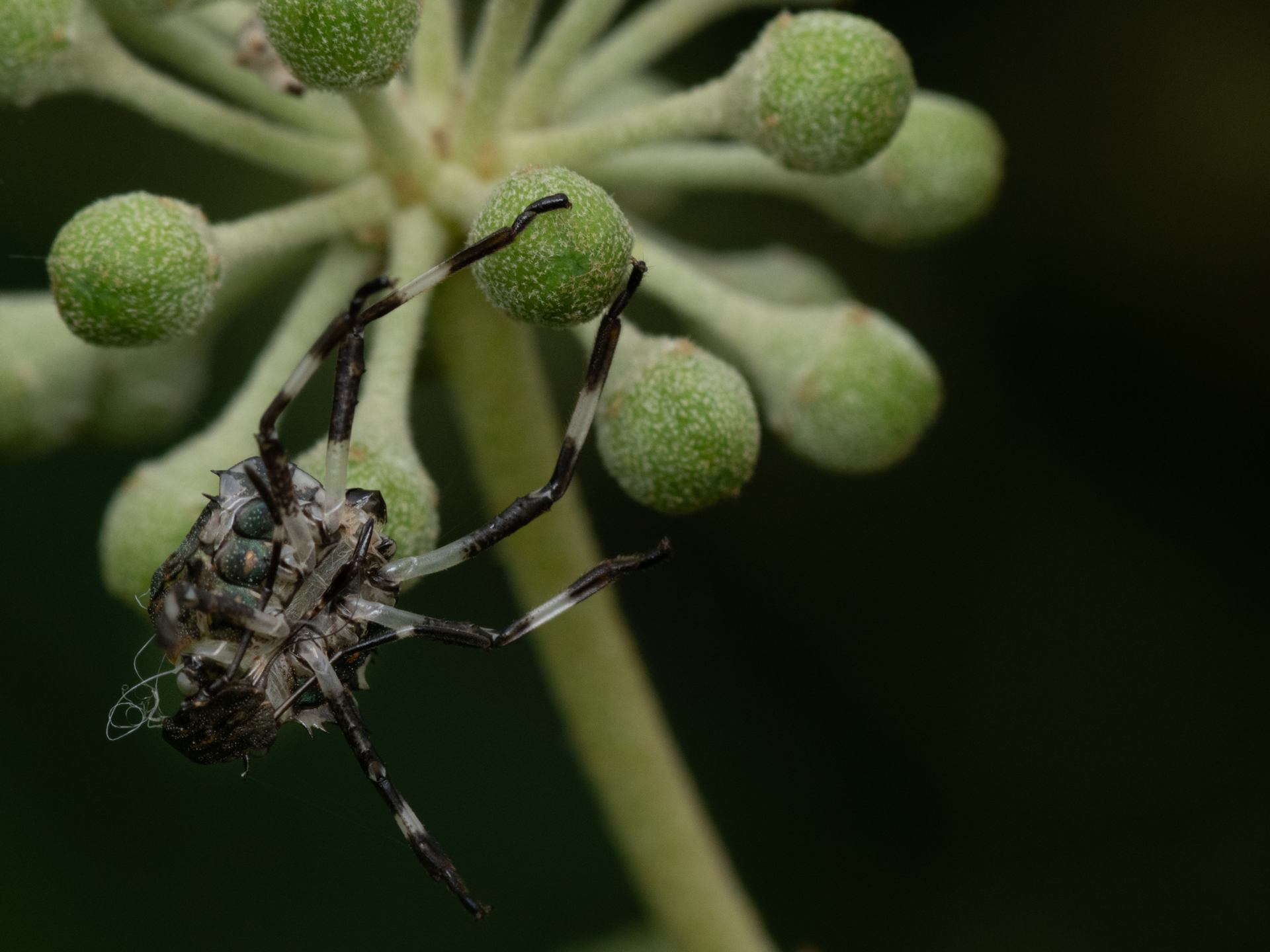 2022 09 13 - 2569.jpg