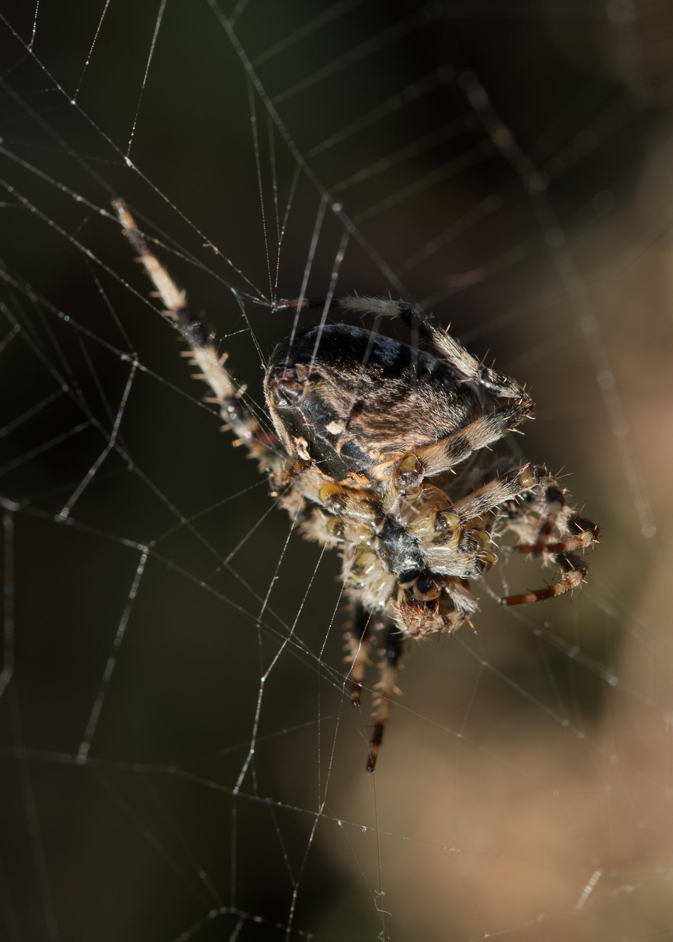 2022 09 14 - 2746.jpg