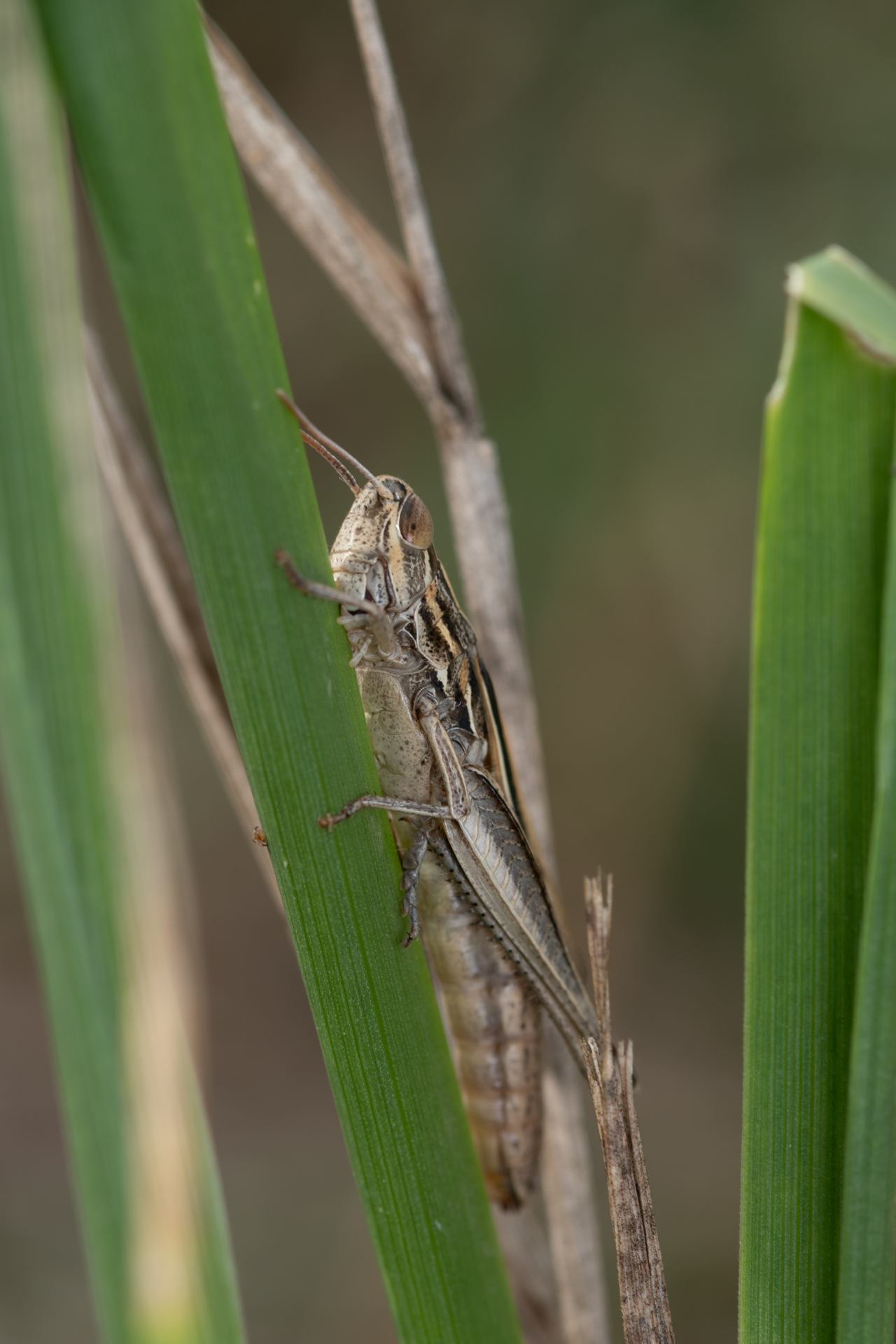 2022 09 14 - 2769.jpg