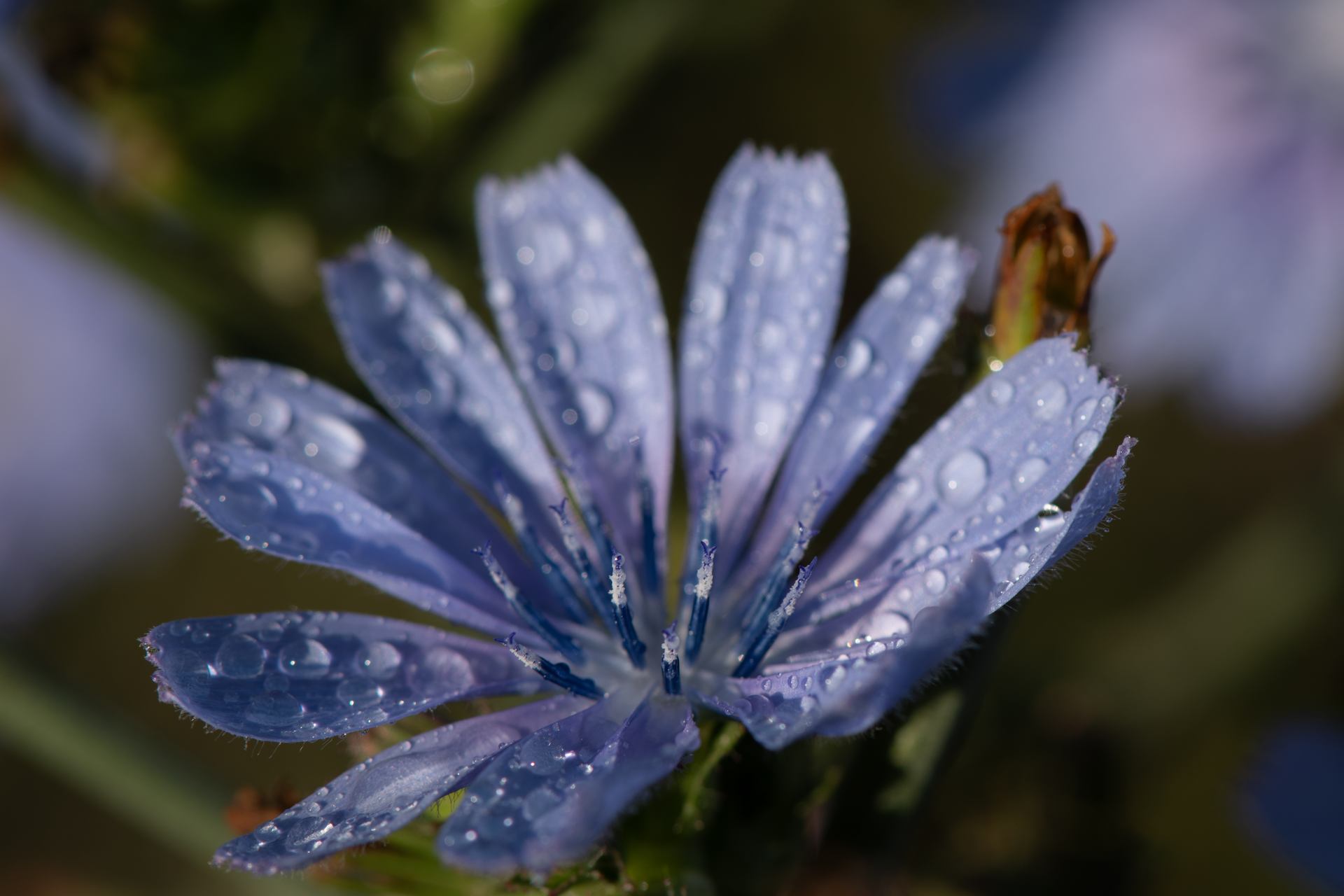 2022 09 16 - 2873.jpg