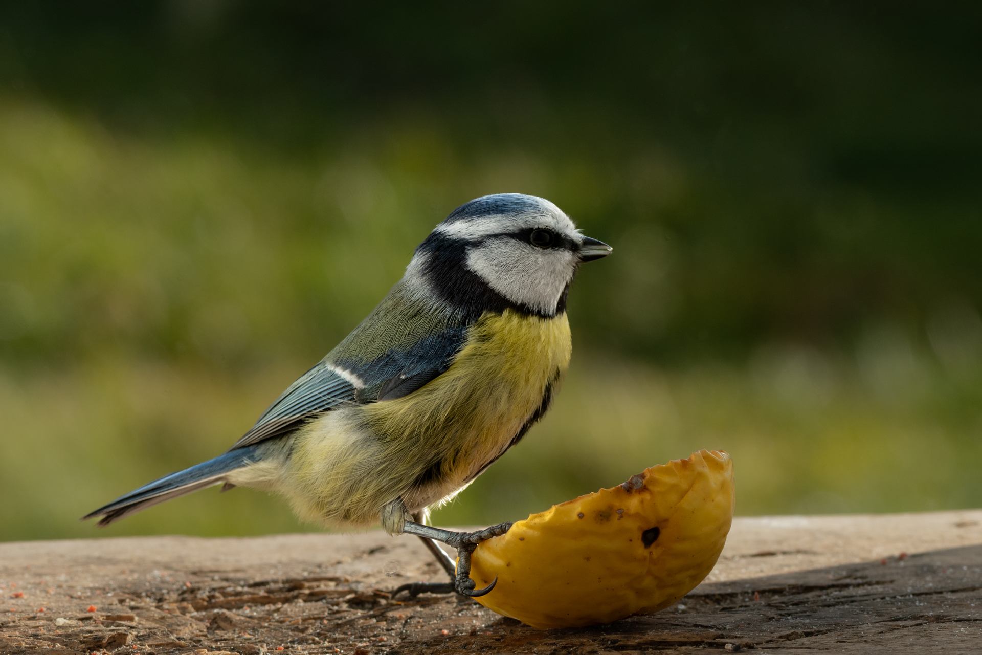 2023 02 16 - 3485.jpg