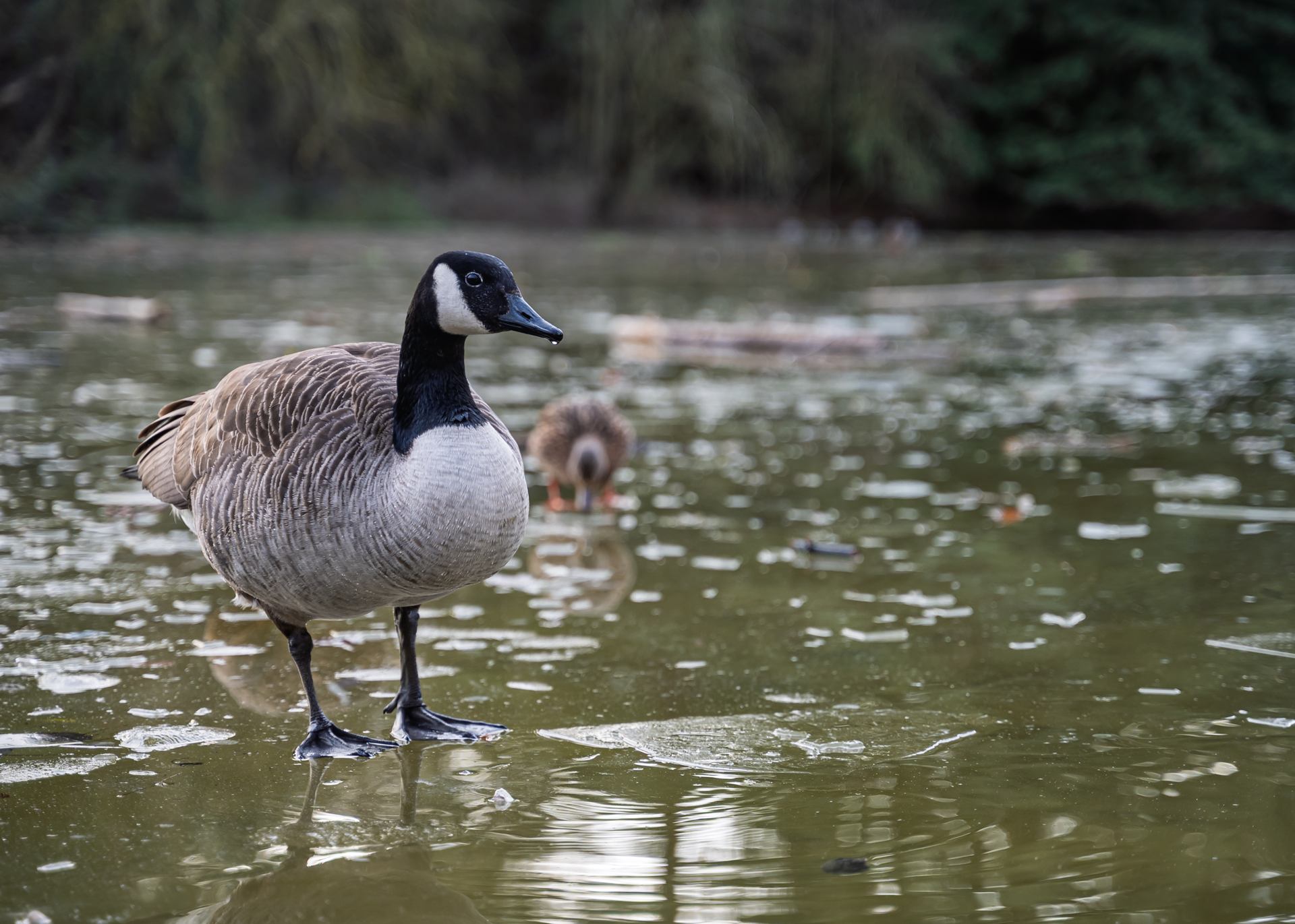 2026 01 11 - 1125.jpg