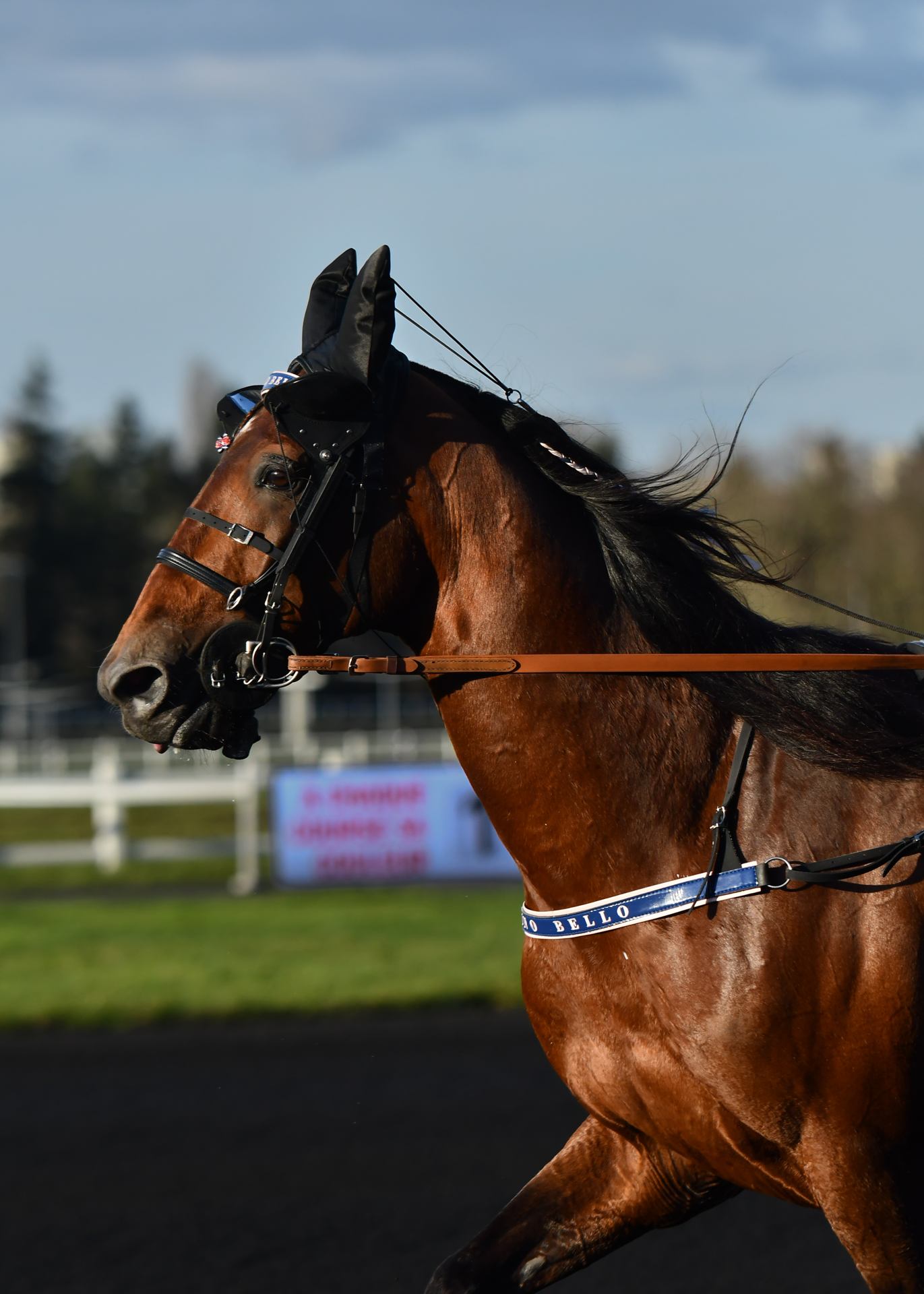 2026 02 08 - 9726.jpg