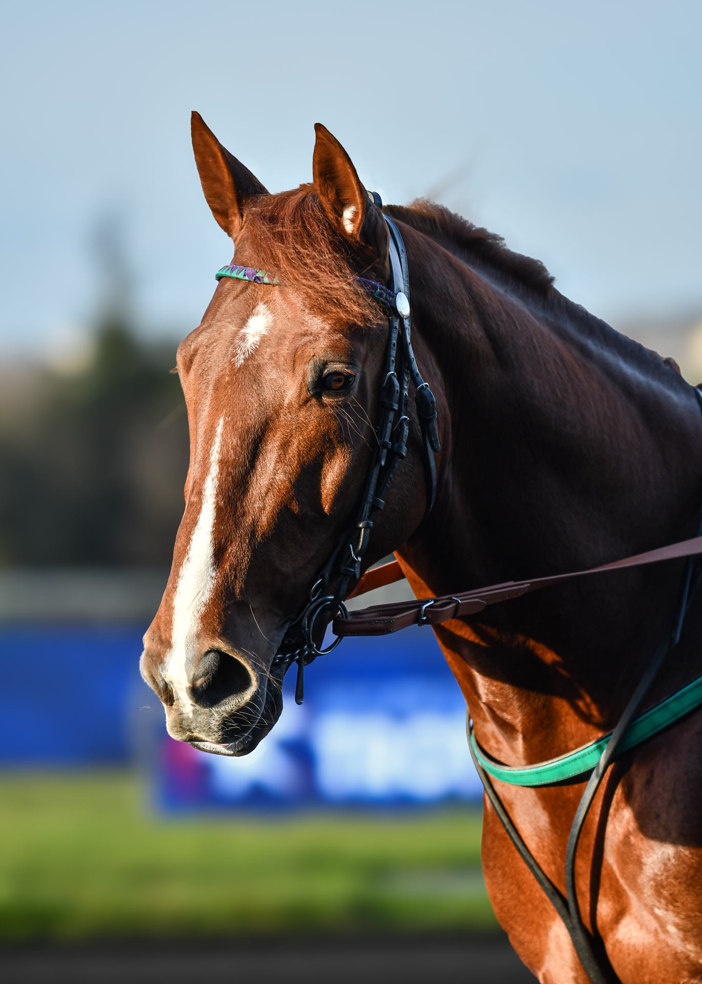 2026 02 08 - 9789.jpg