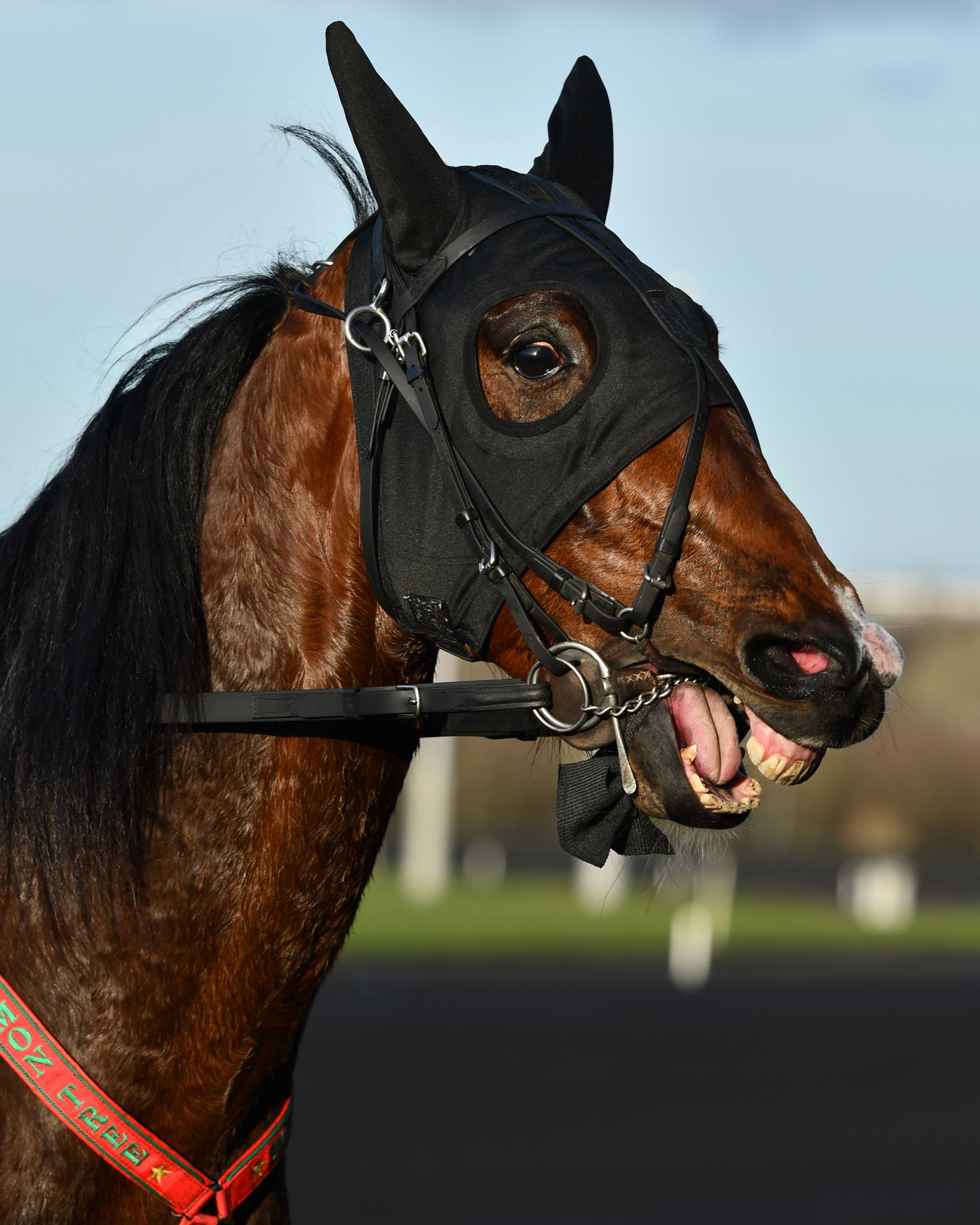 2026 02 08 - 9812.jpg