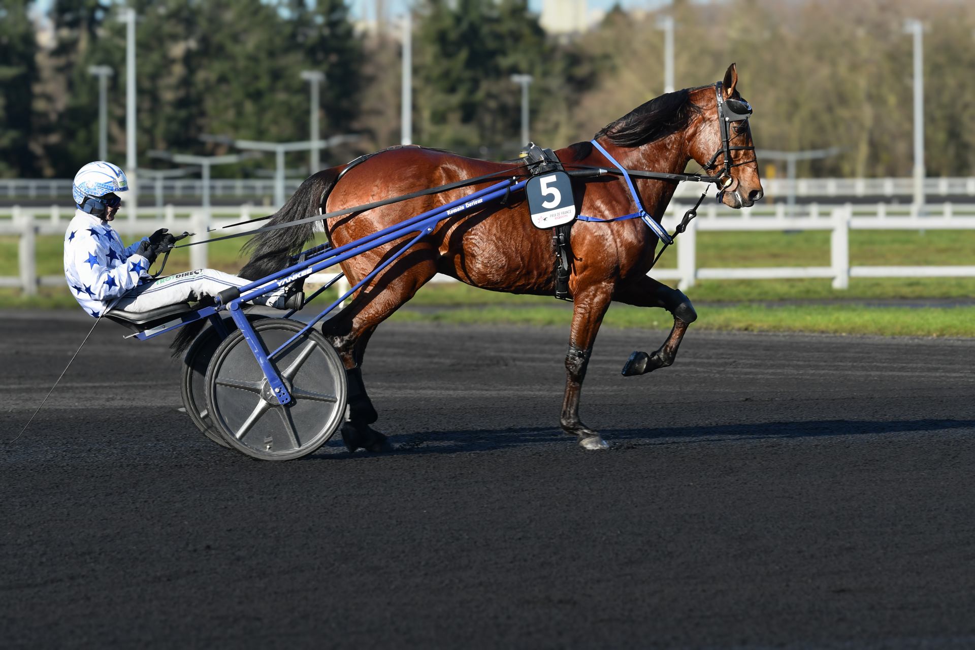 2026 02 08 - 9539.jpg