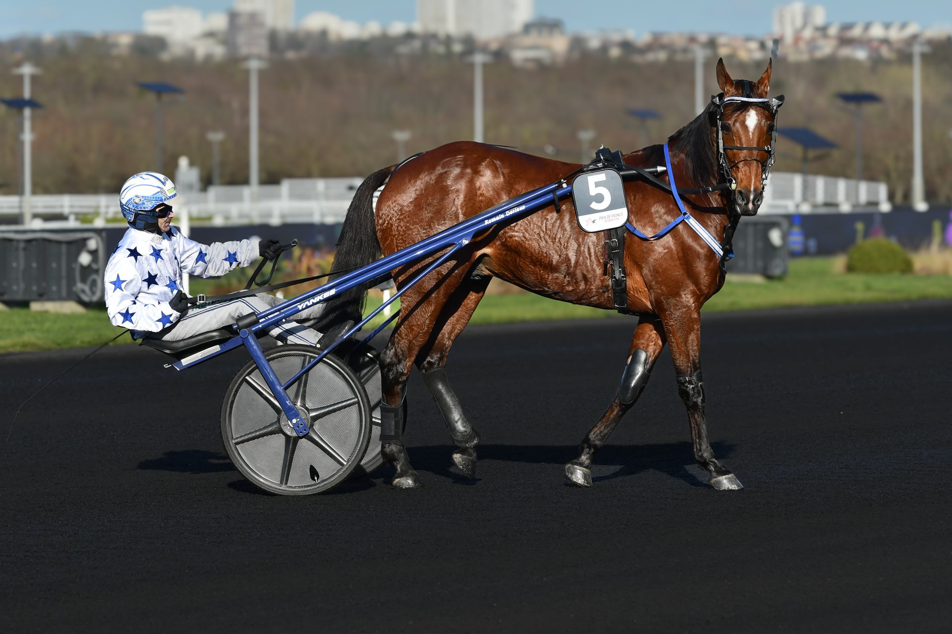 2026 02 08 - 9540.jpg