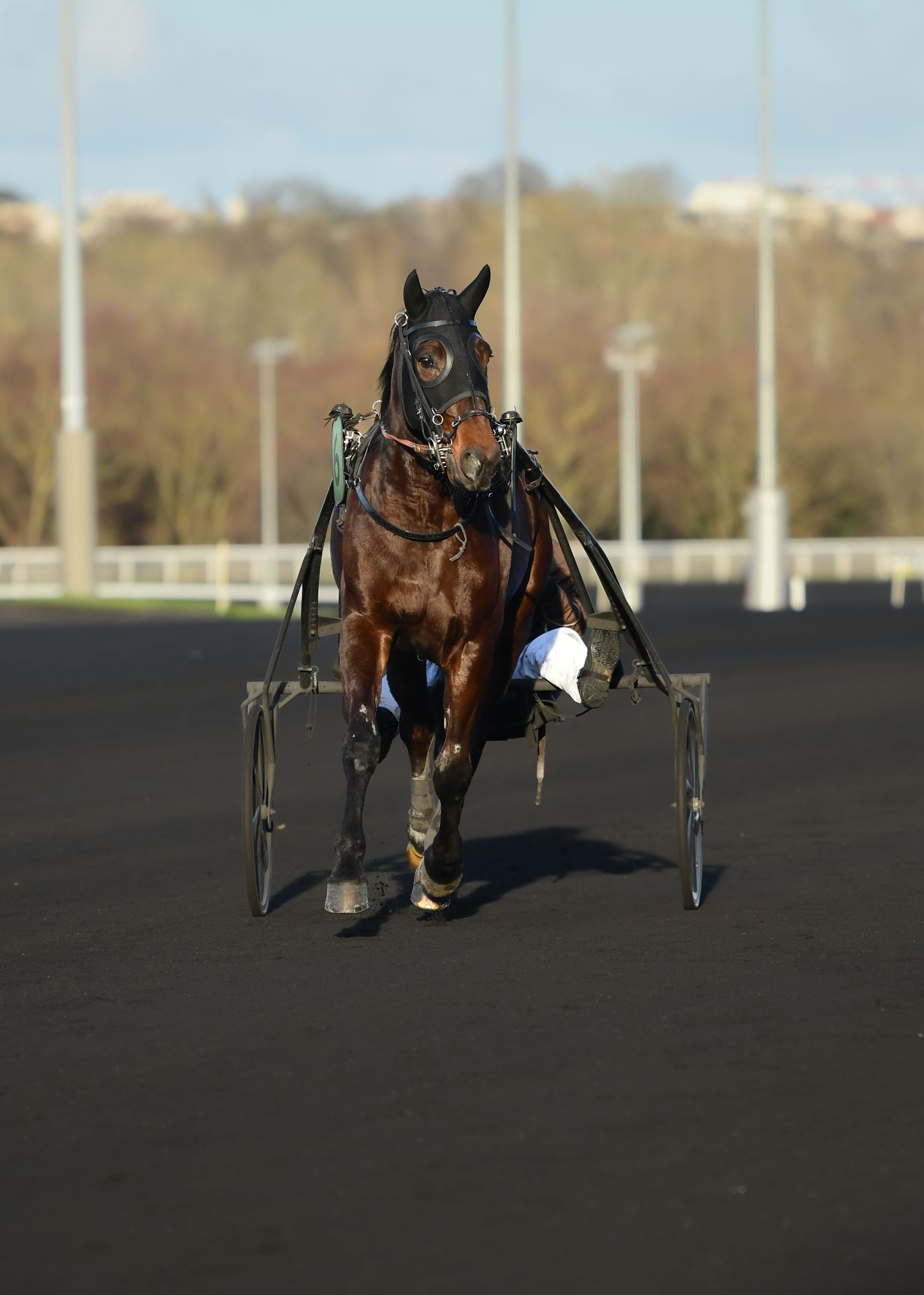 2026 02 08 - 9828.jpg