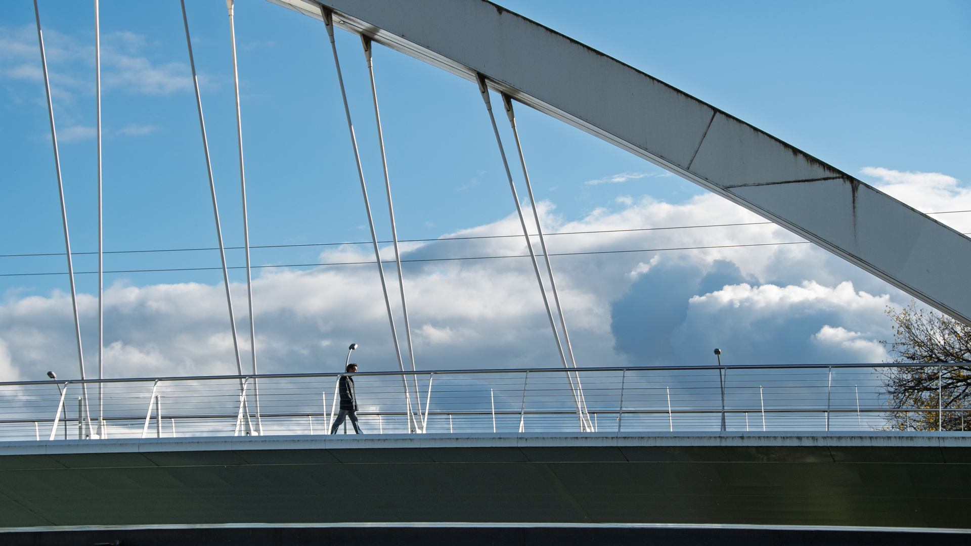 2022 11 18 - 2994-2.jpg