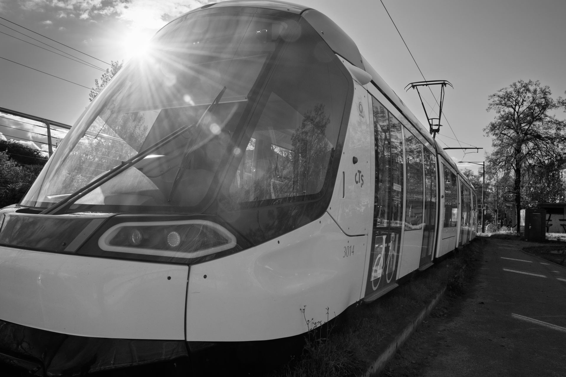 2022 11 18 - 2975-2.jpg