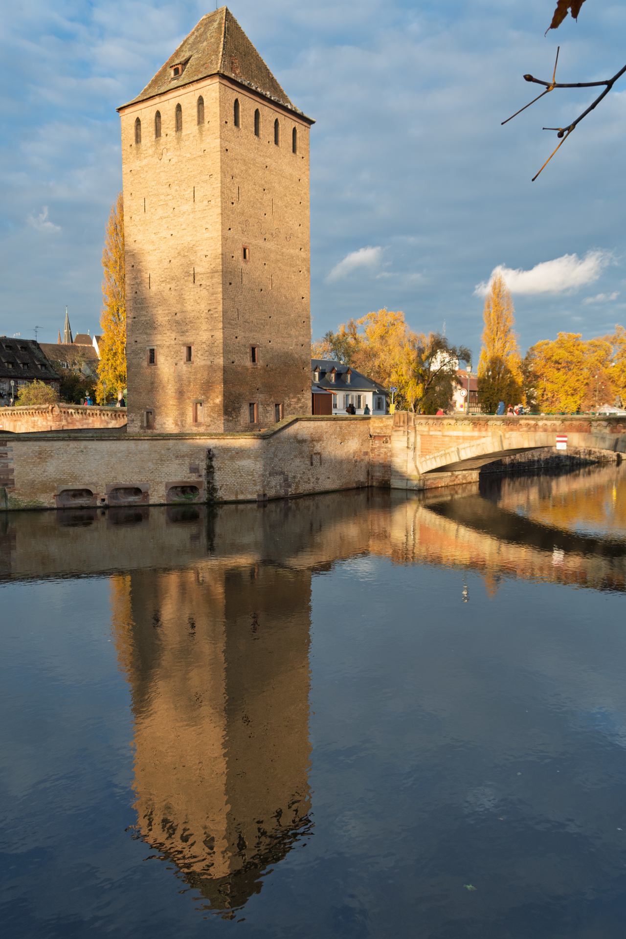 2022 11 19 - 3161.jpg