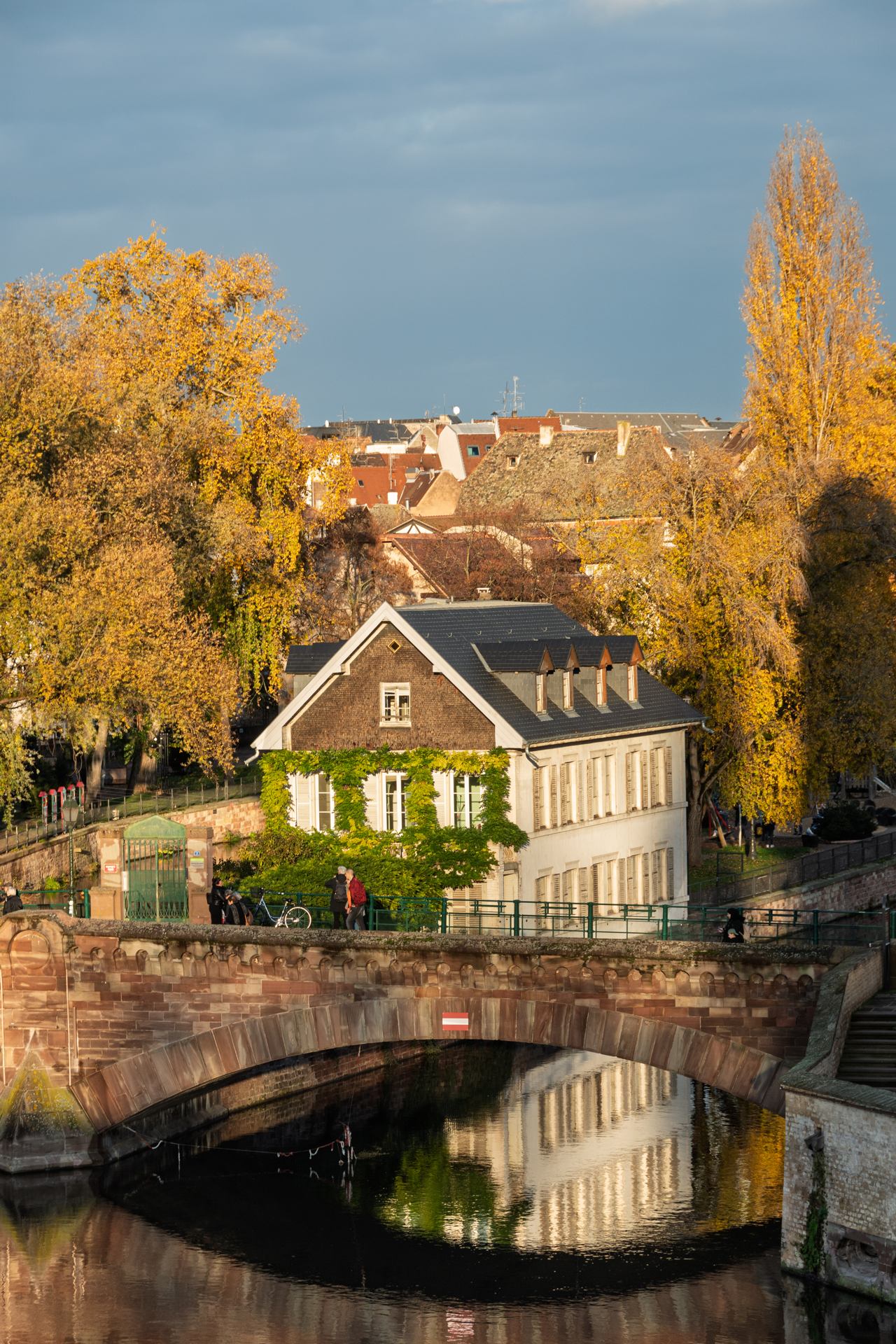 2022 11 19 - 3171.jpg