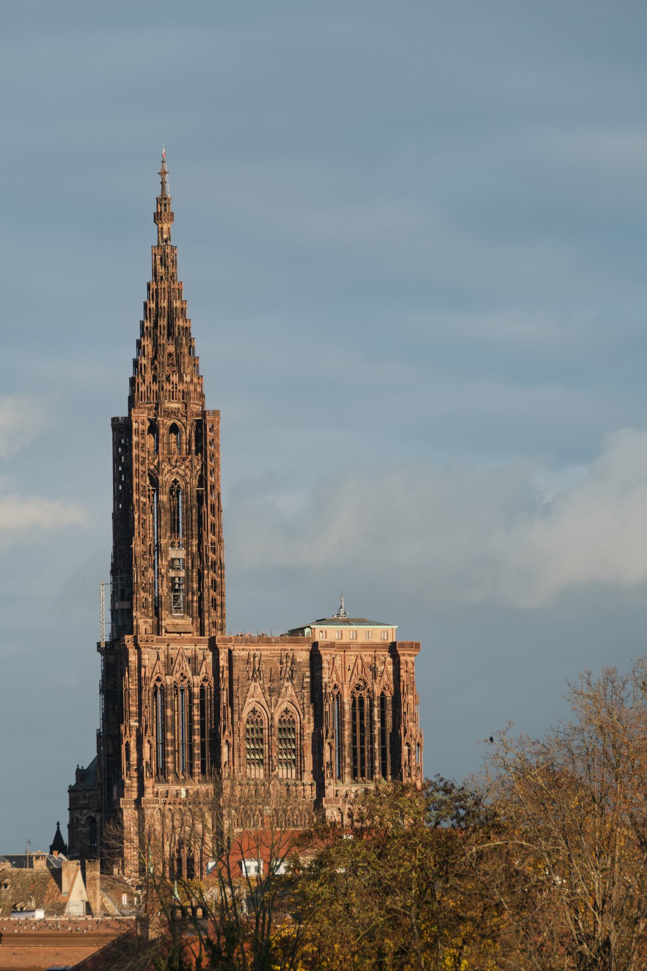 2022 11 19 - 3188.jpg