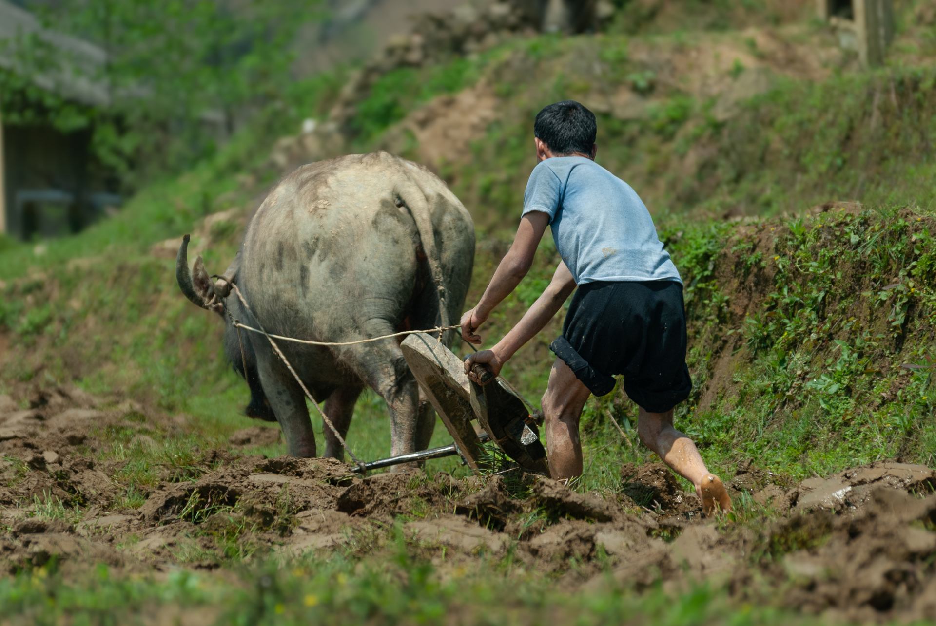 2008 04 08 - 149.jpg