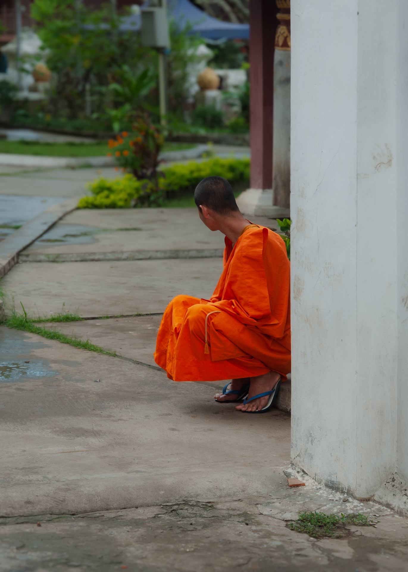 2008 11 06 - 0005.jpg