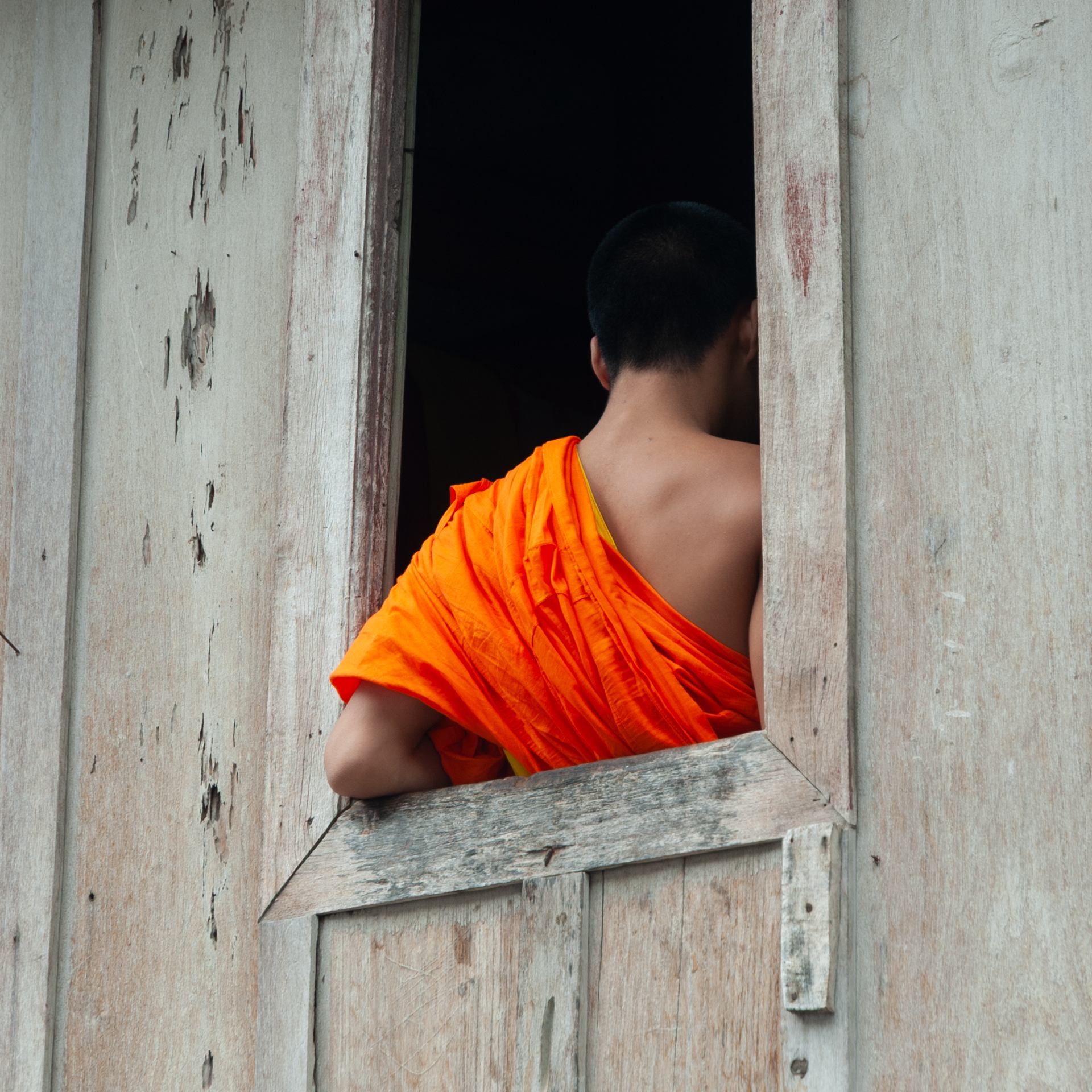 2008 11 06 - 0020.jpg