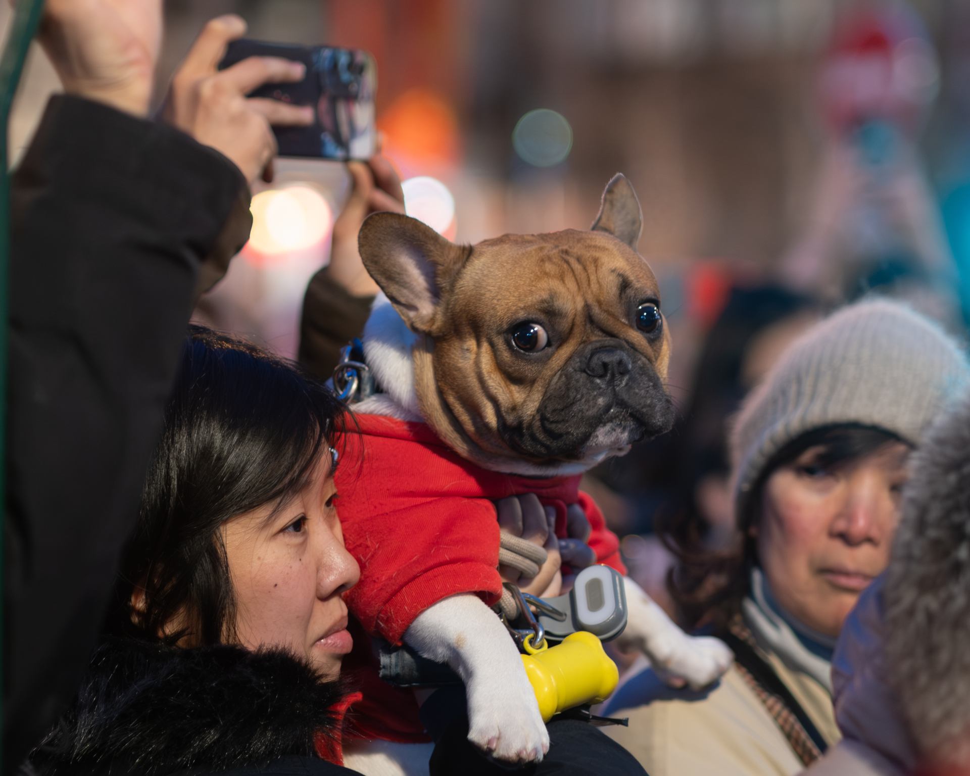 2026 02 20 - 5683.jpg