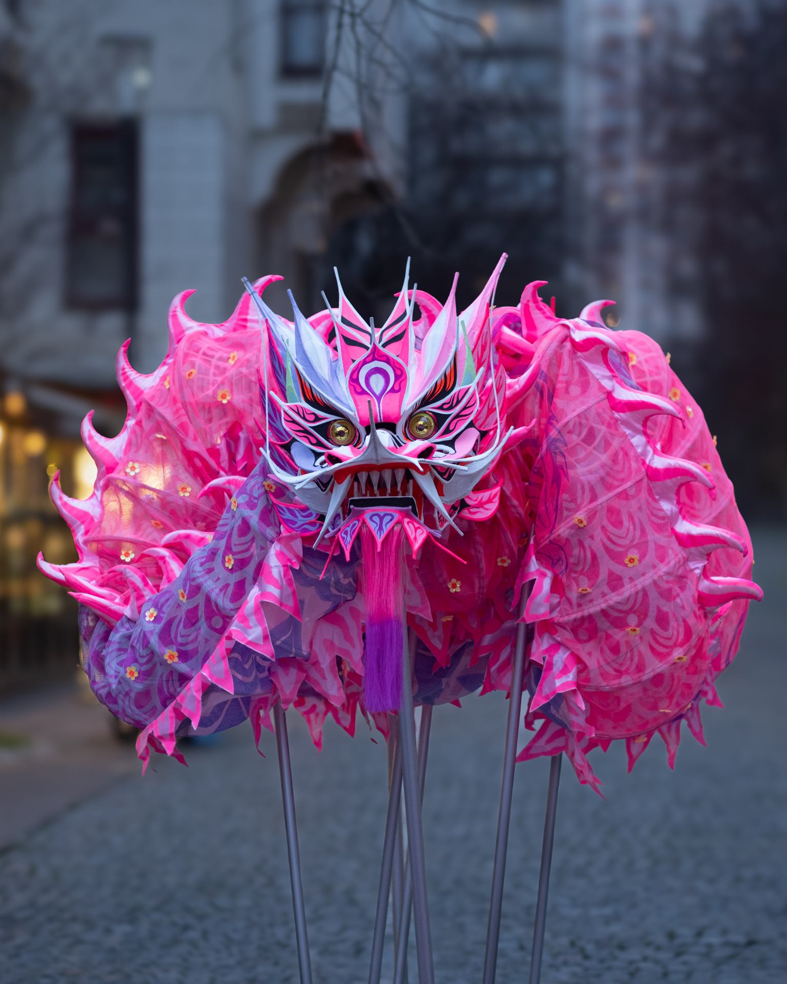 2026 02 20 - 5646.jpg