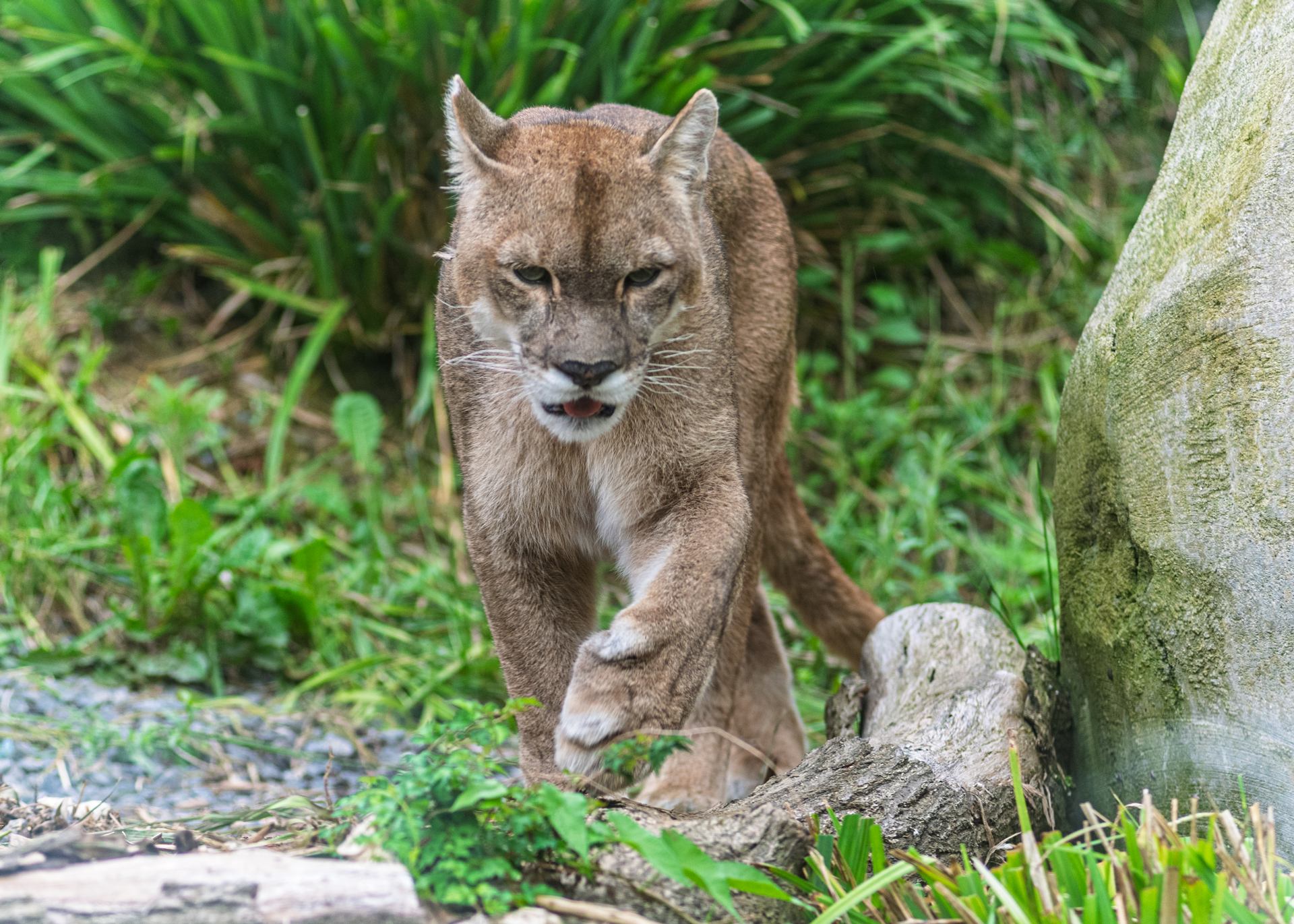 2018 06 06 - 0149.jpg