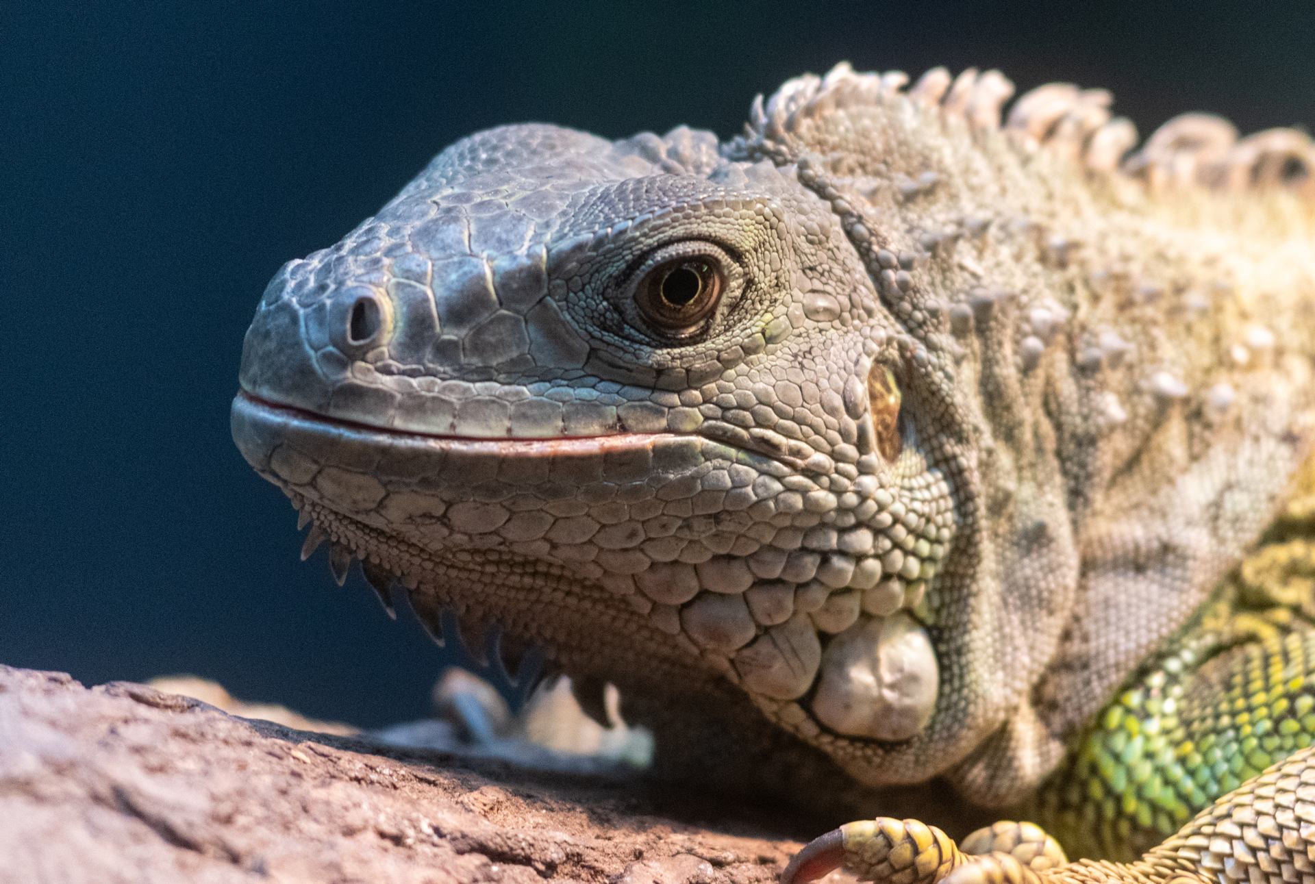 2018 06 06 - 0194.jpg