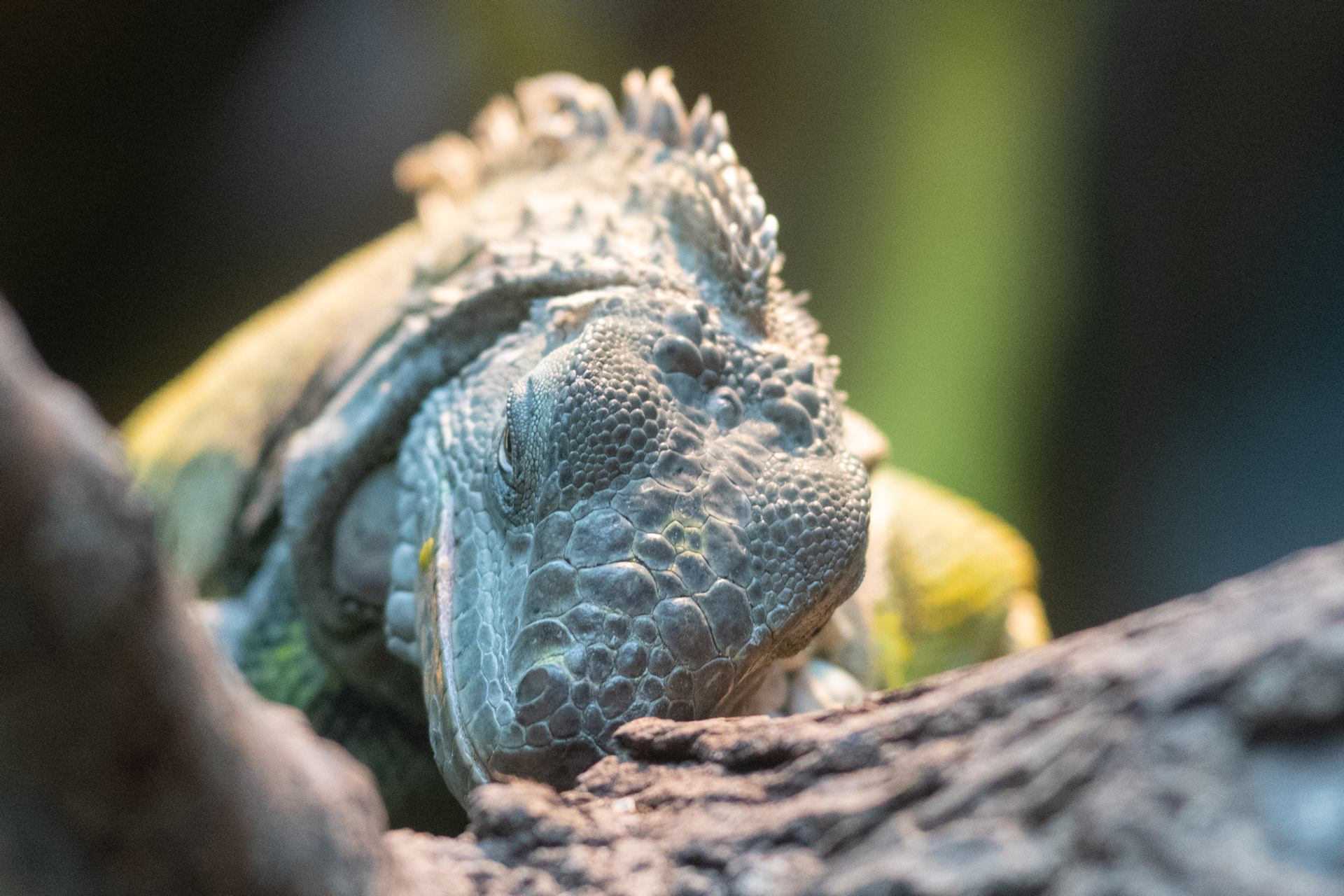 2018 06 06 - 0193.jpg