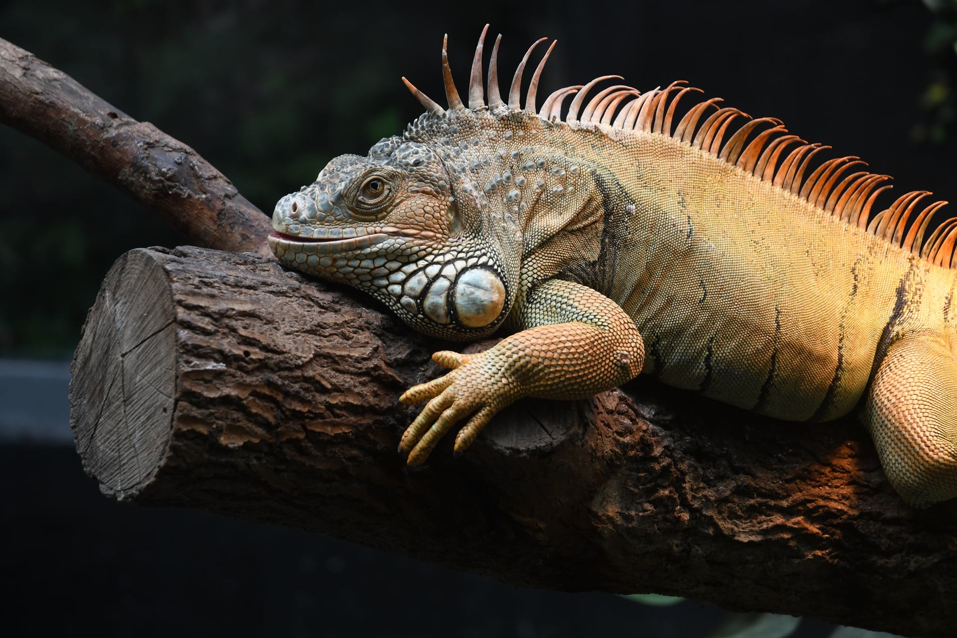 2018 06 10 - 0293.jpg