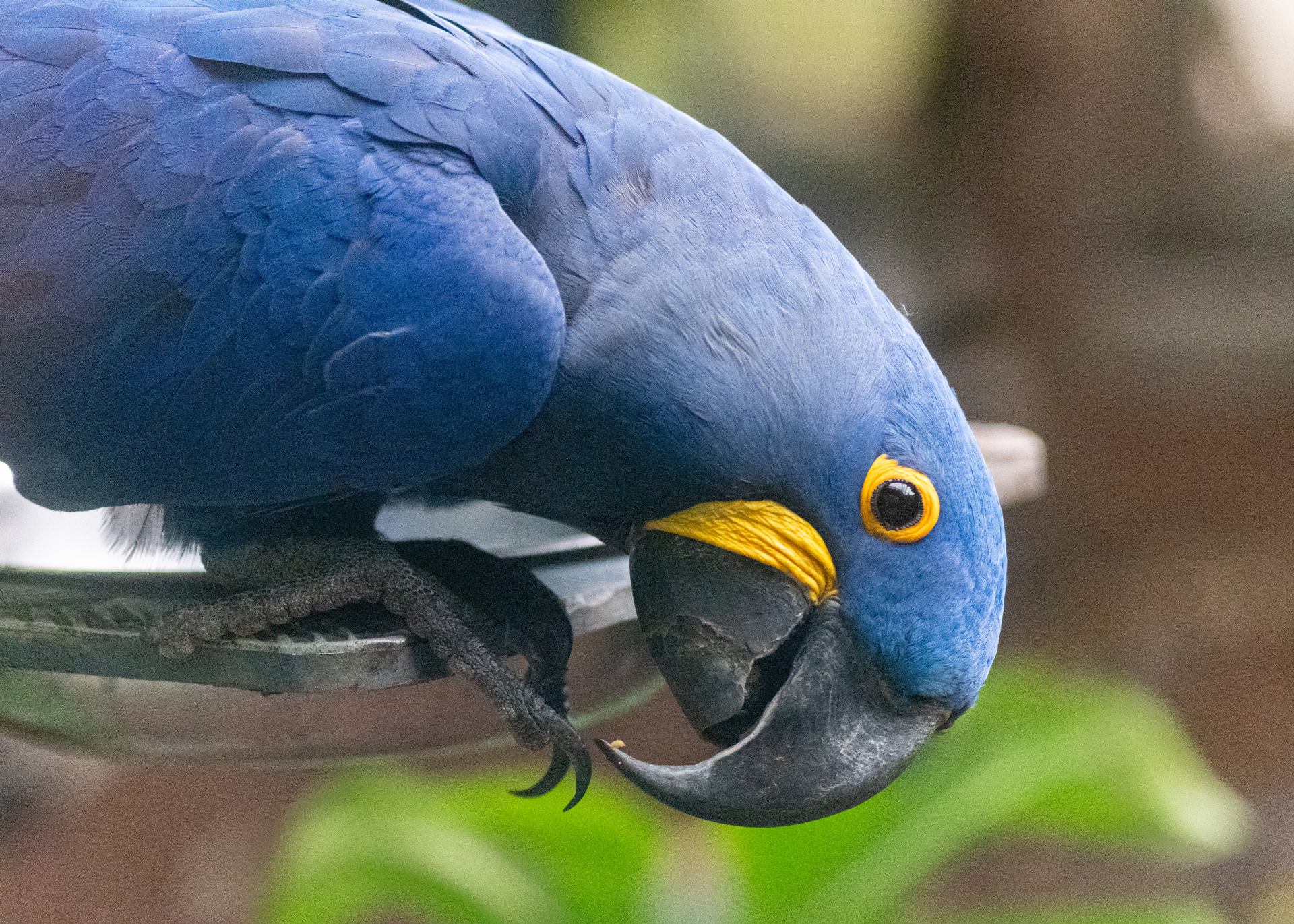 2018 06 06 - 0197.jpg