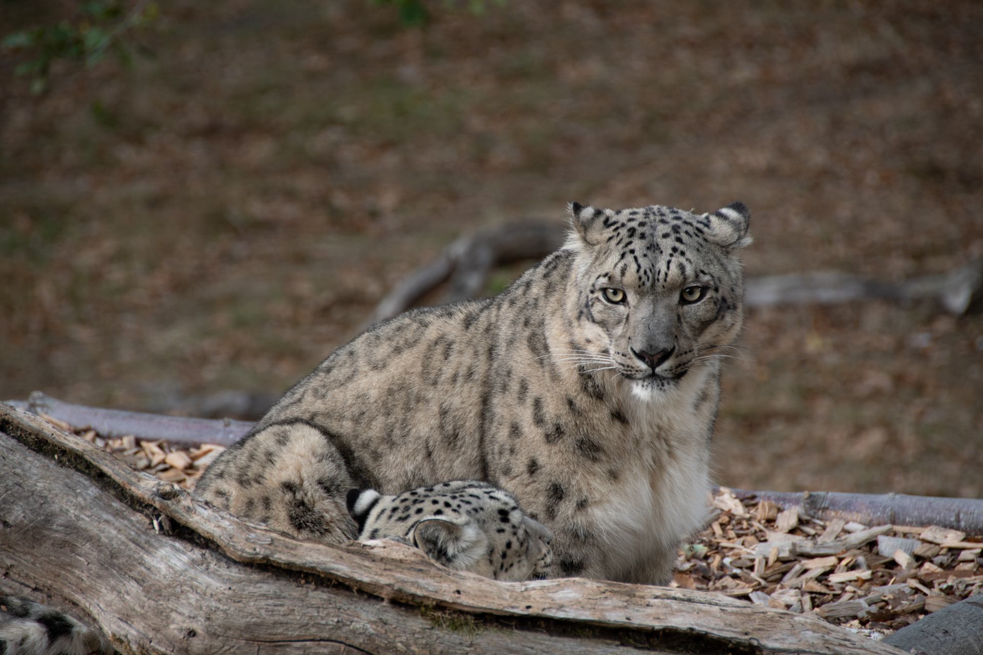 2018 11 02 - 4430.jpg